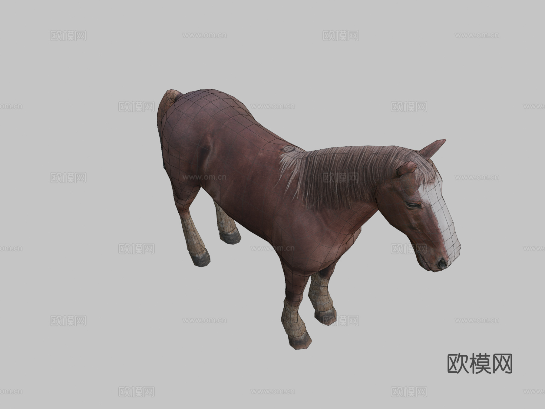 DRT-家养动物-马3d模型