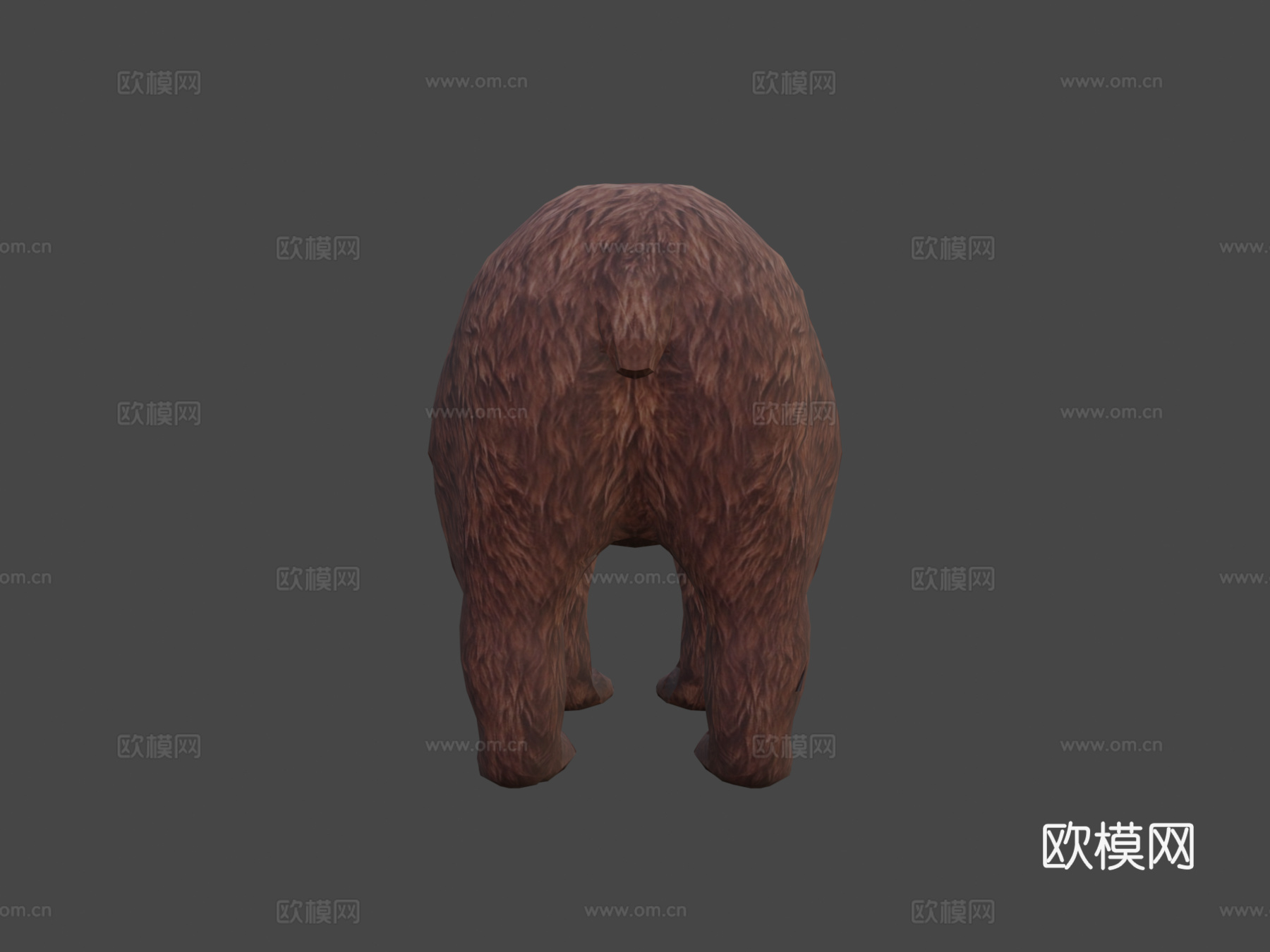 灰熊写实3D模型3d模型