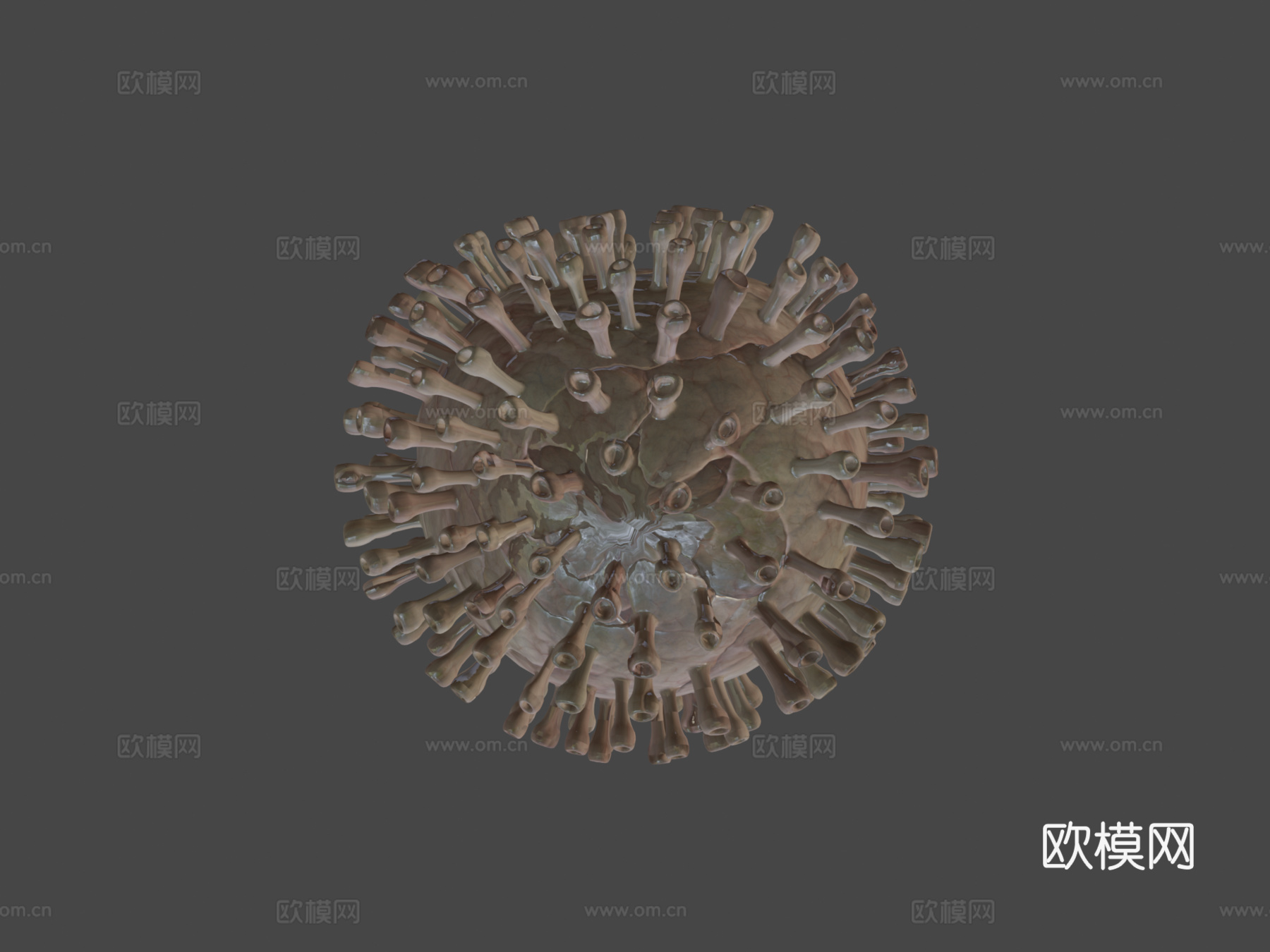 病毒5C动画3d模型