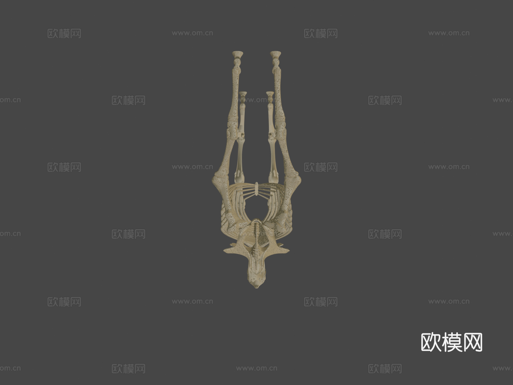 马骨架3d模型