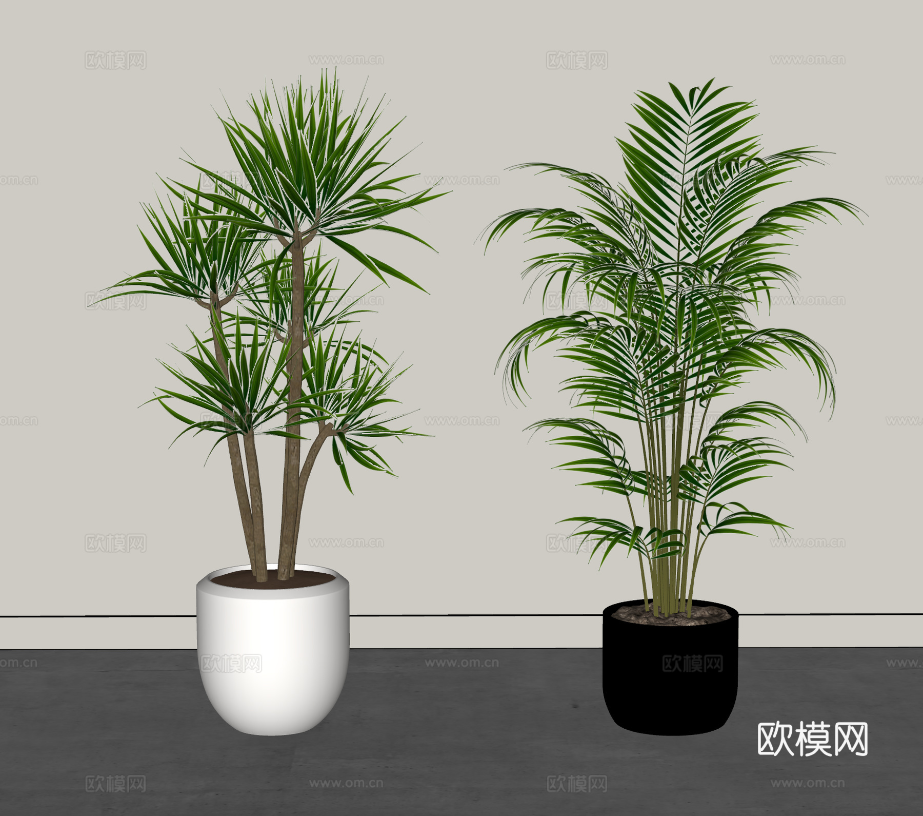 现代植物 盆栽 盆景 绿植 龙血树 散尾葵su模型