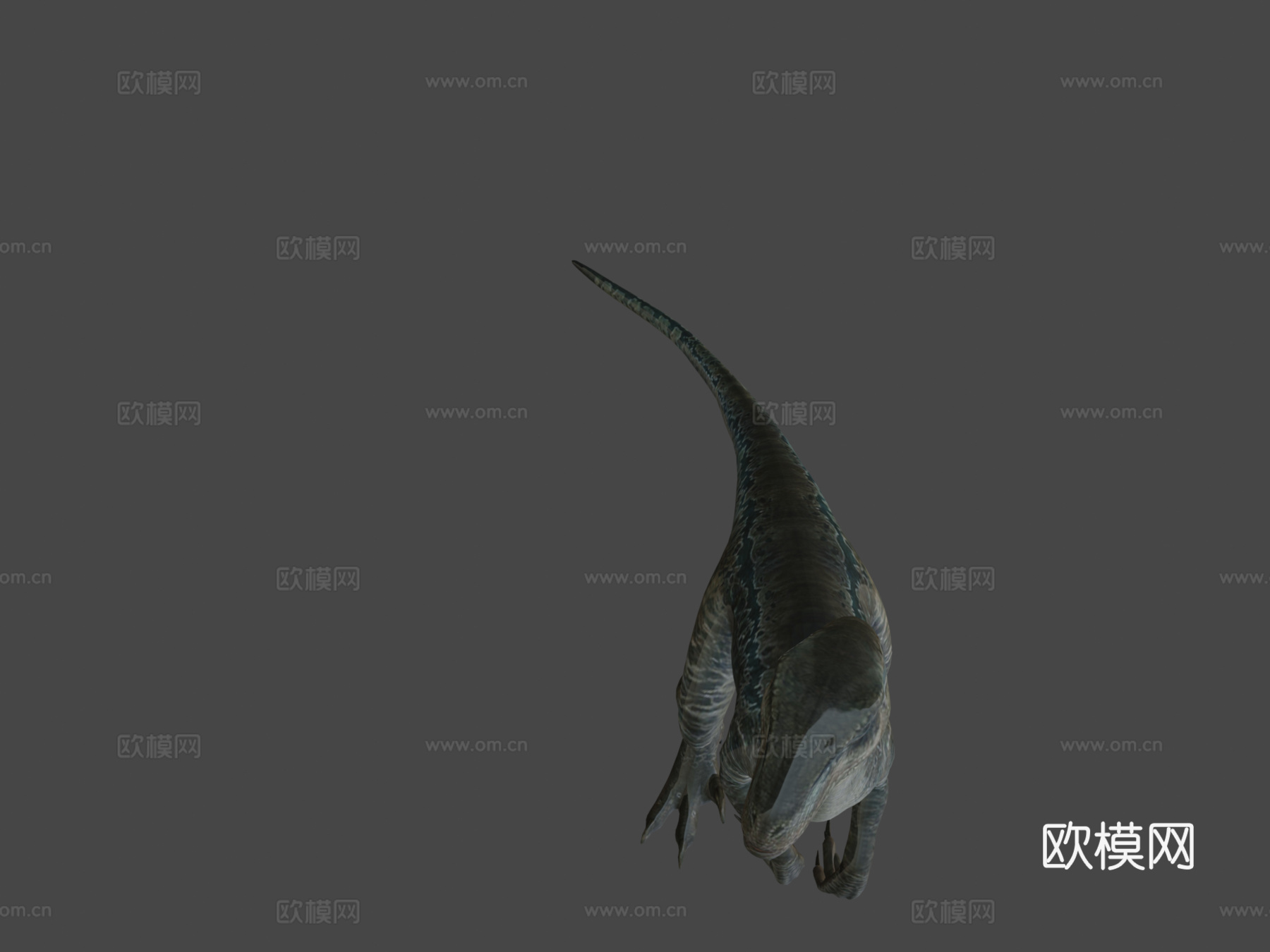 JW活体蓝色3d模型