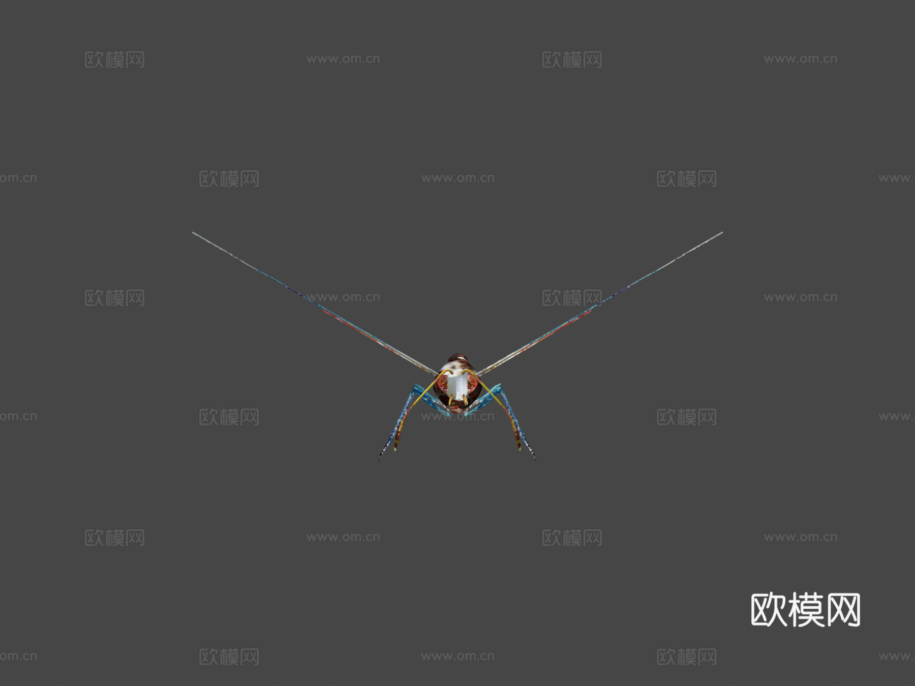 动画飞行蝴蝶循环v2.03d模型