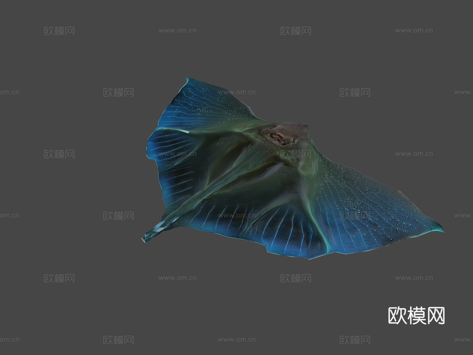 外星幻想鱼-水母鳐-黄貂鱼3d模型