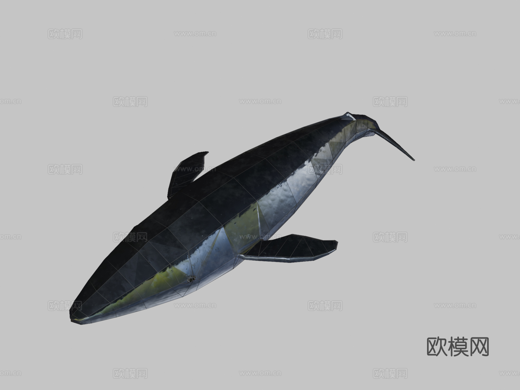 绑定蓝鲸3d模型