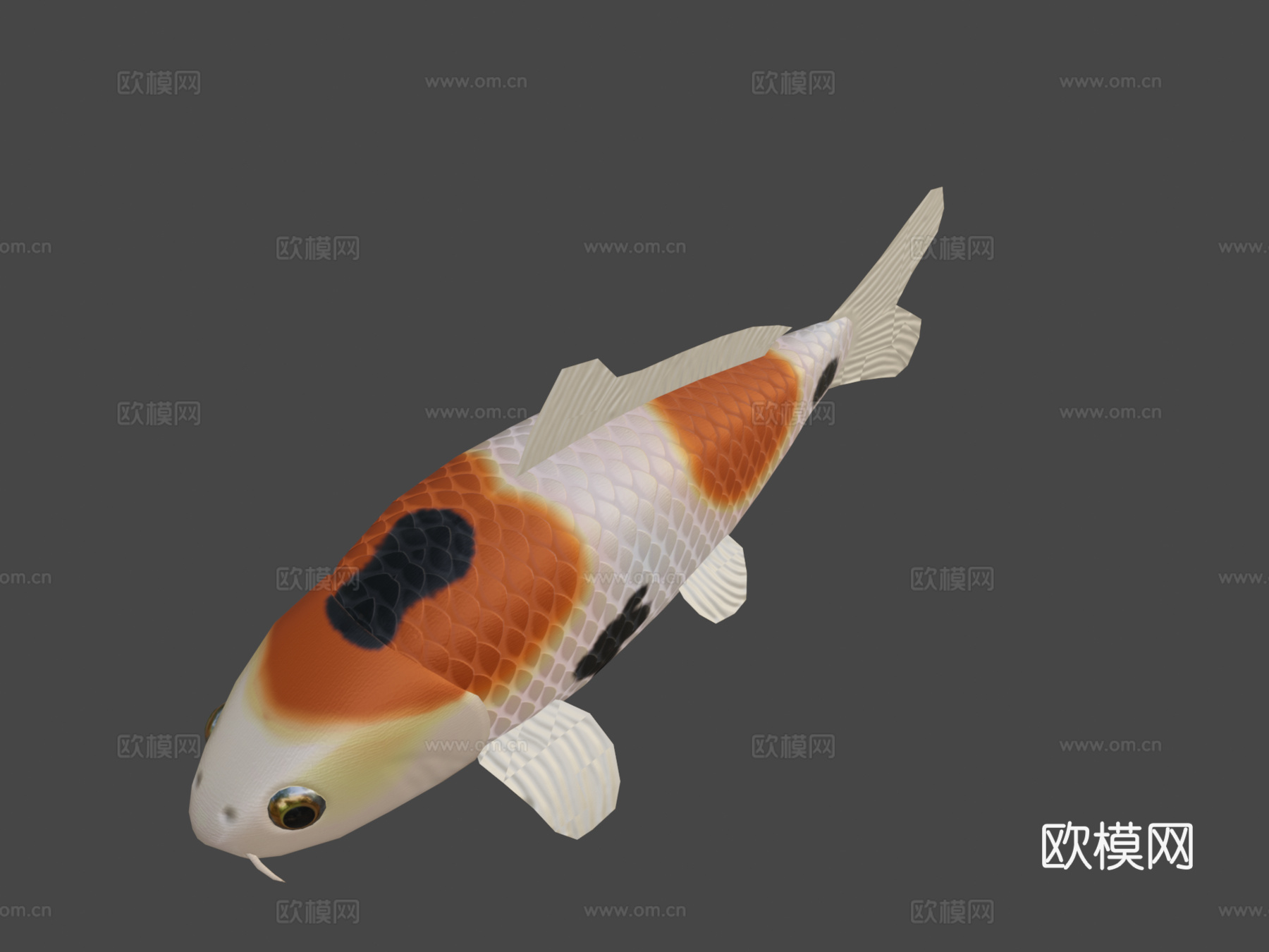 动画游动锦鲤(天空鲨鱼(犹他茶壶))3d模型