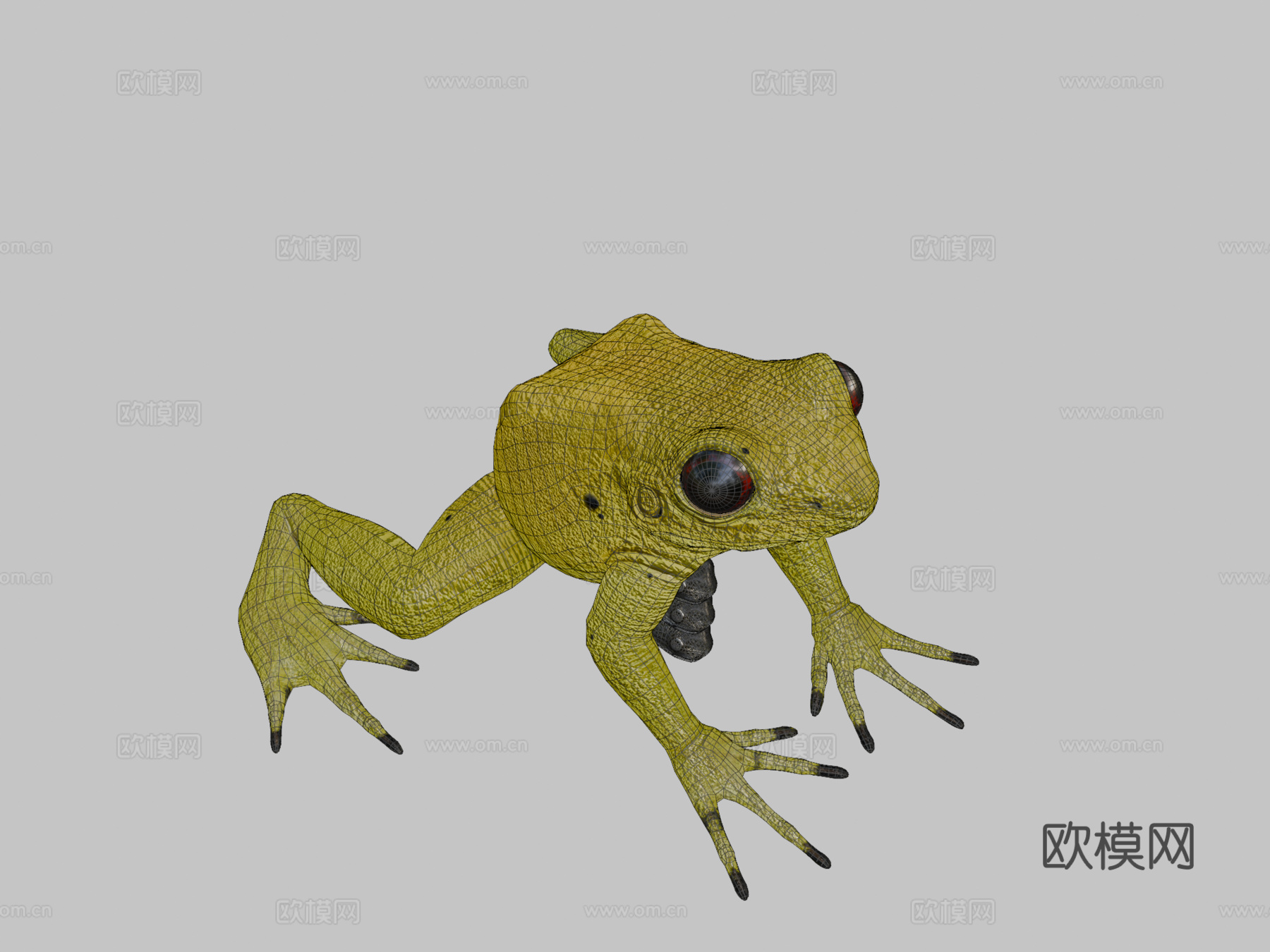 金色箭毒蛙3d模型