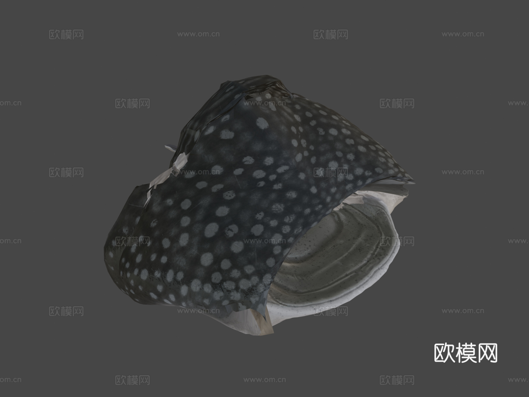 鲸鲨3d模型