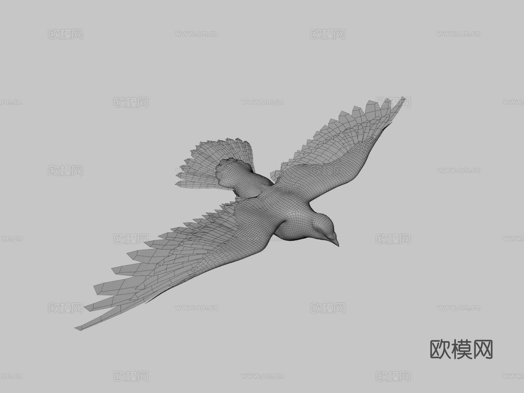 鸽子飞翔3d模型