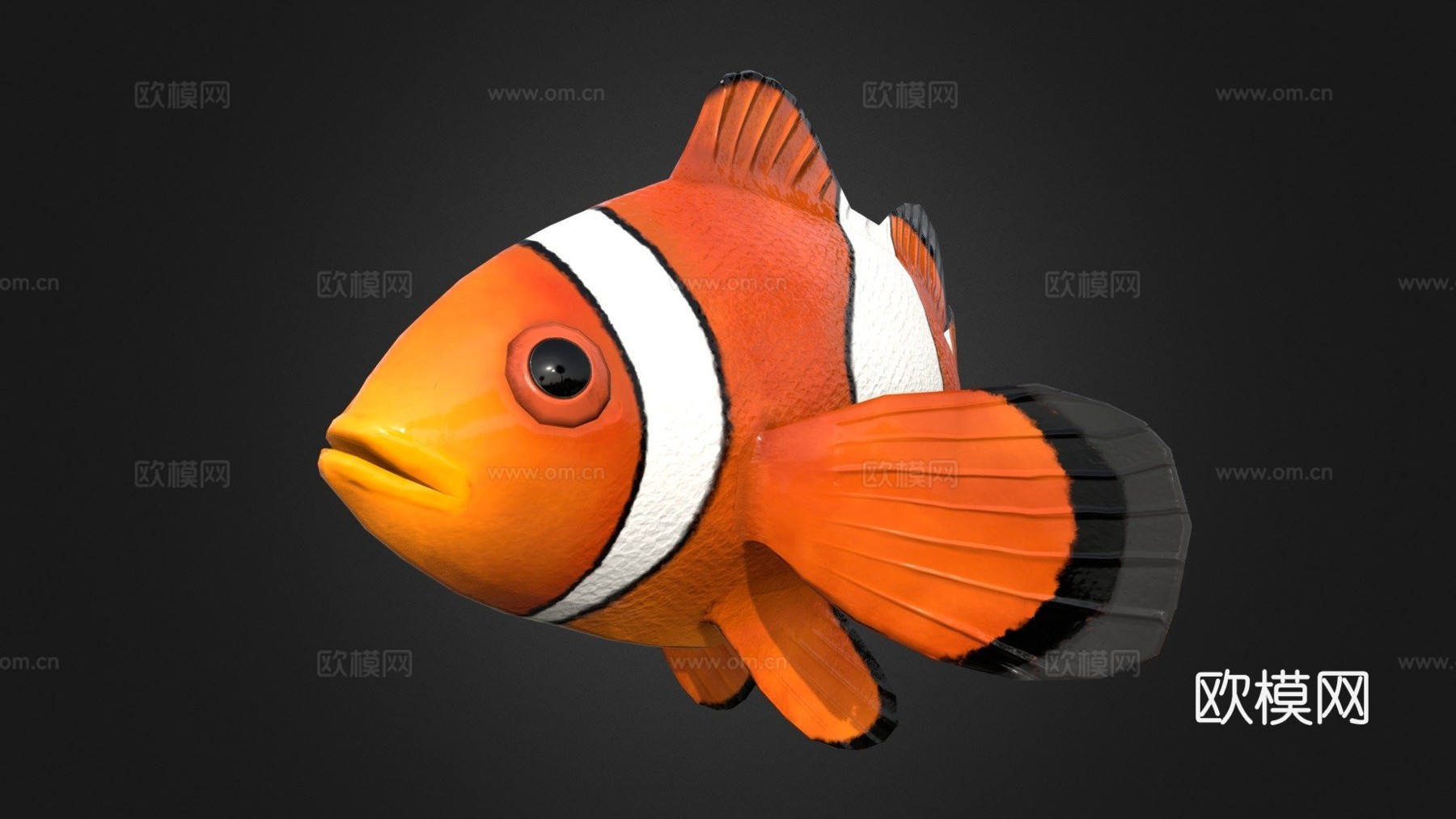 海葵鱼小丑鱼绑定3d模型