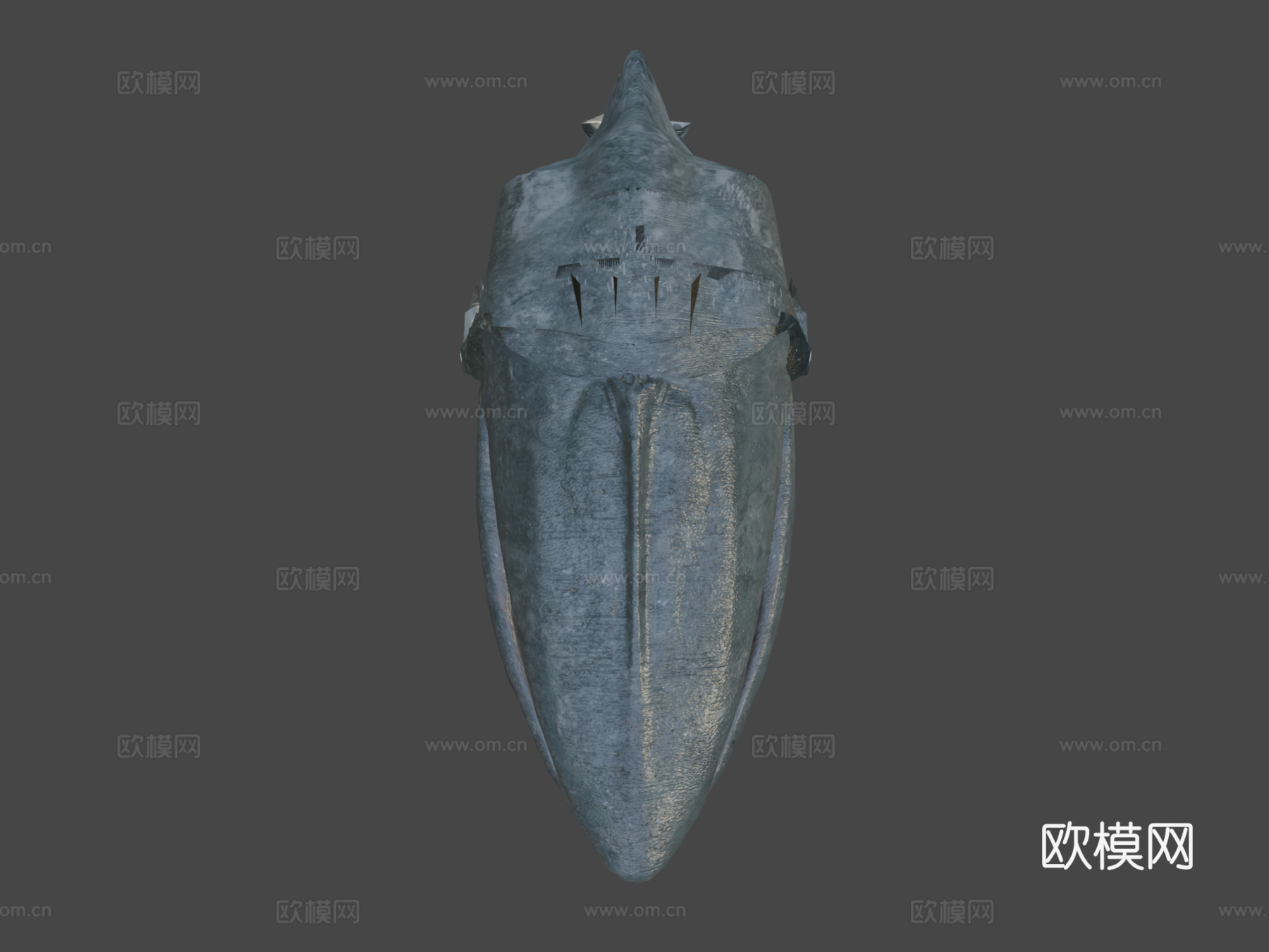 蓝鲸3d模型