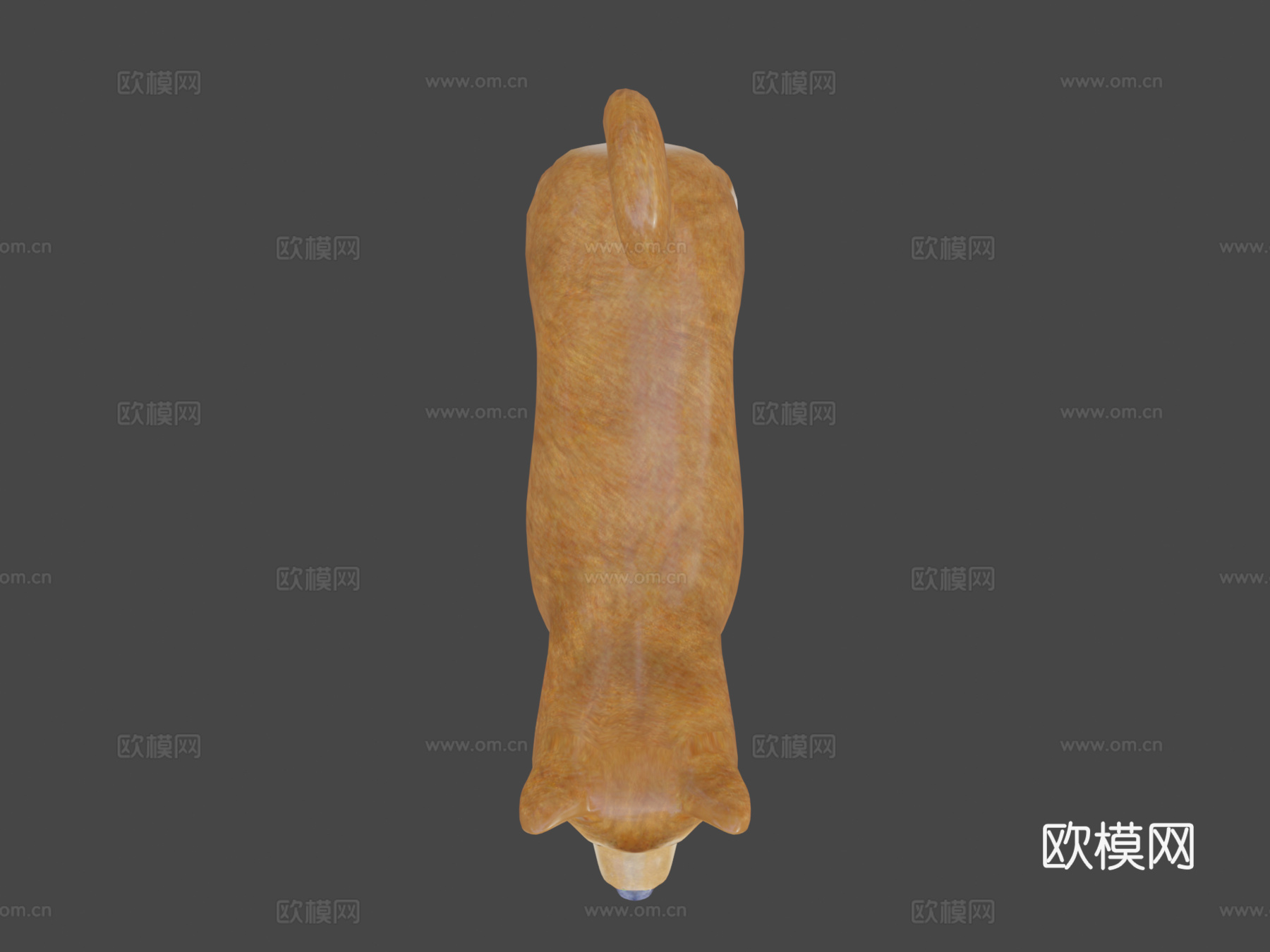 狗狗币3d模型3d模型