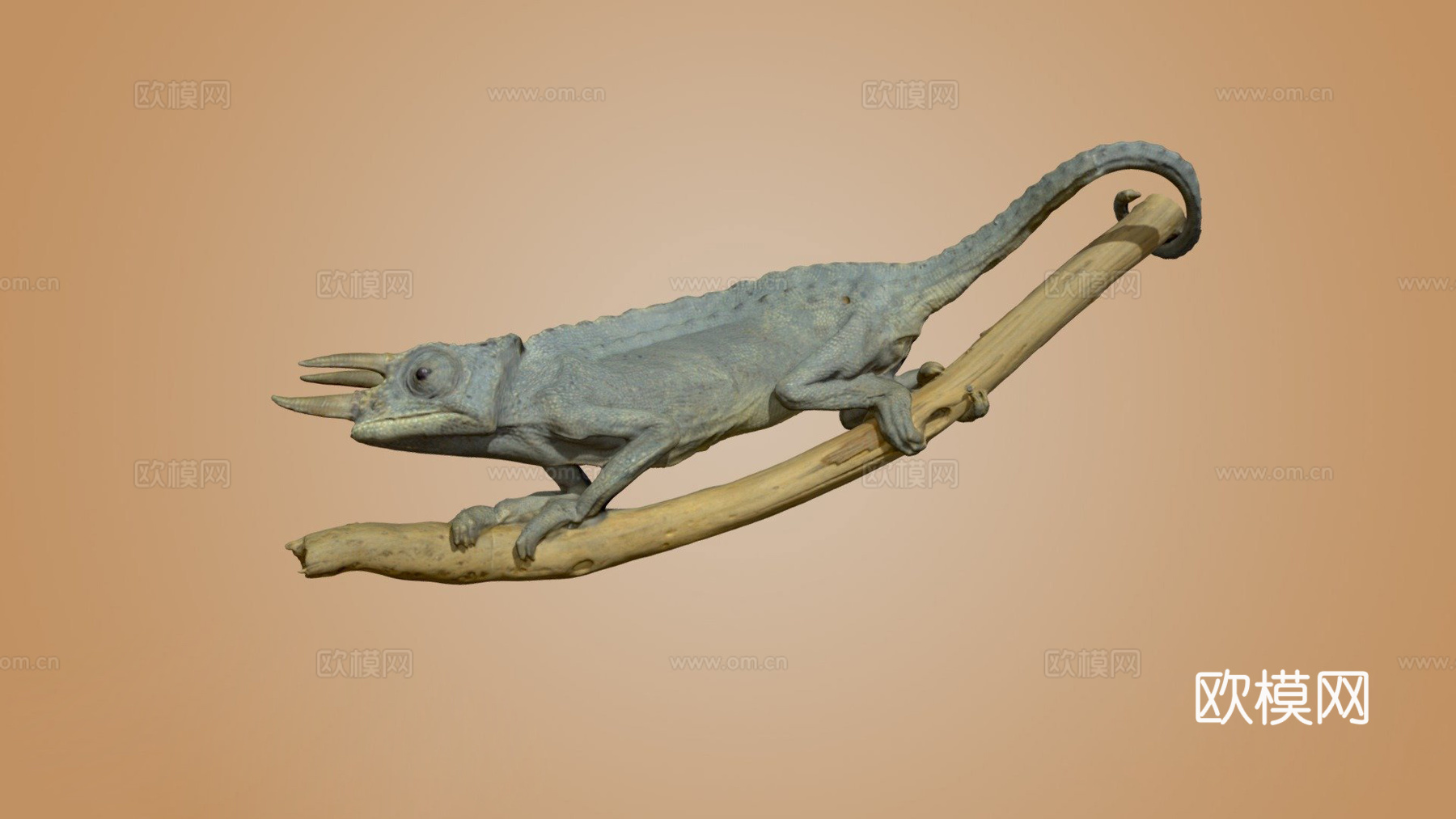 杰克逊变色龙3d模型