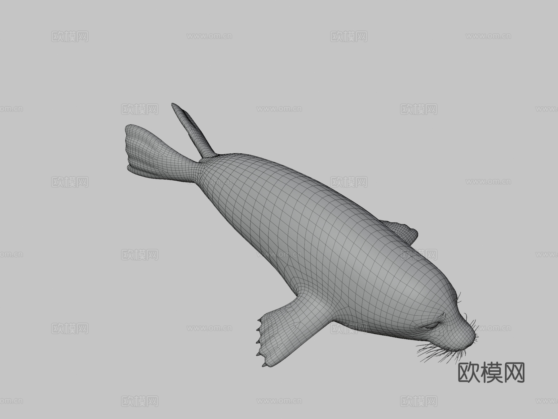 格陵兰海豹幼崽（格陵兰种）-竖琴海豹3d模型