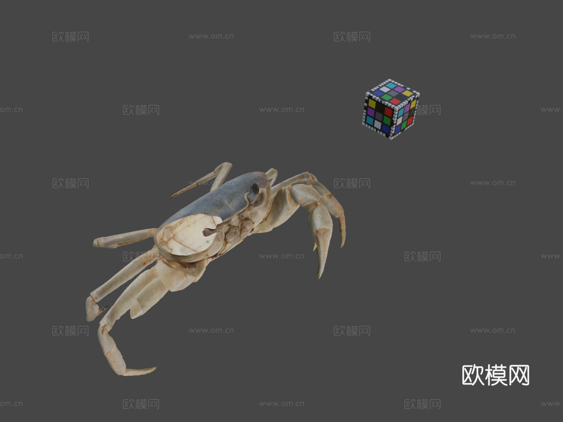 CC0日本淡水蟹♂3d模型
