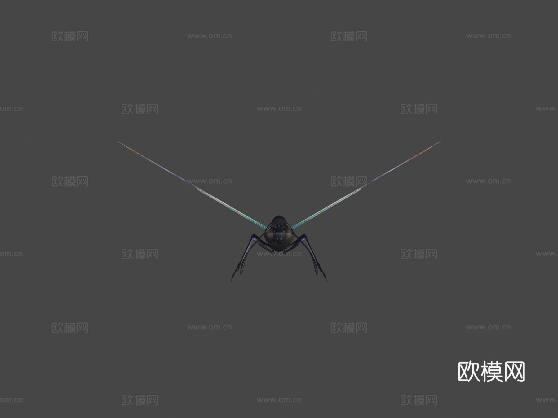 动画飞行扑翼蝴蝶循环3d模型