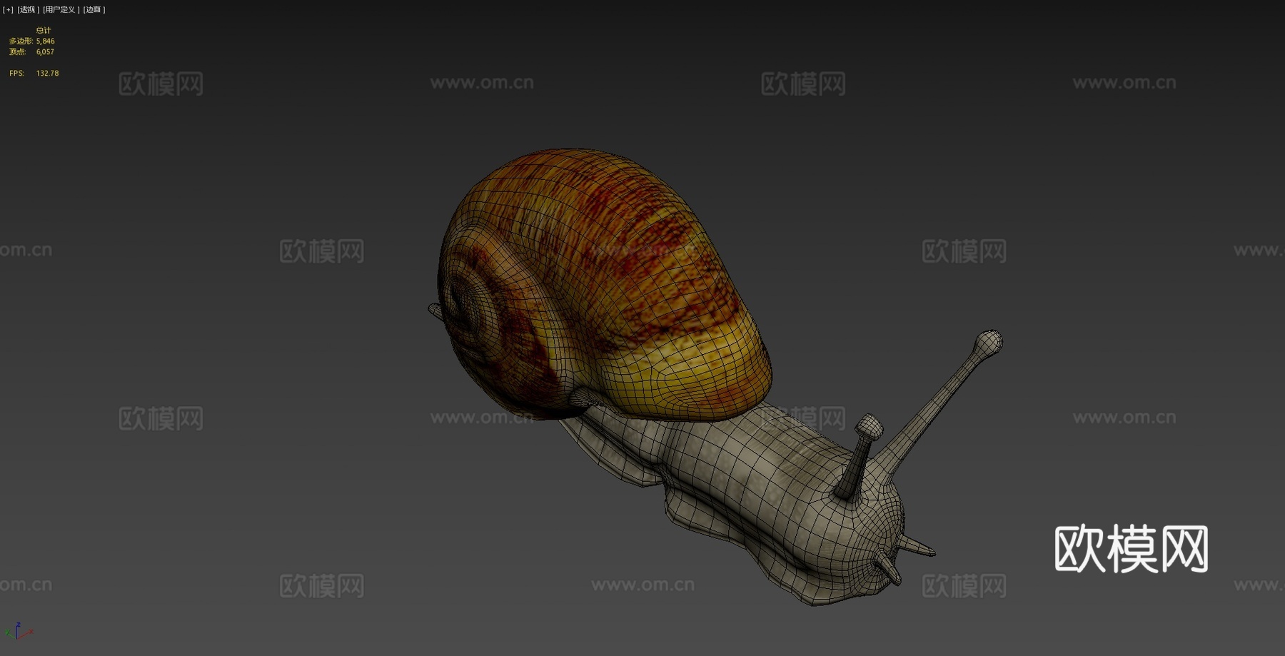 蜗牛3d模型