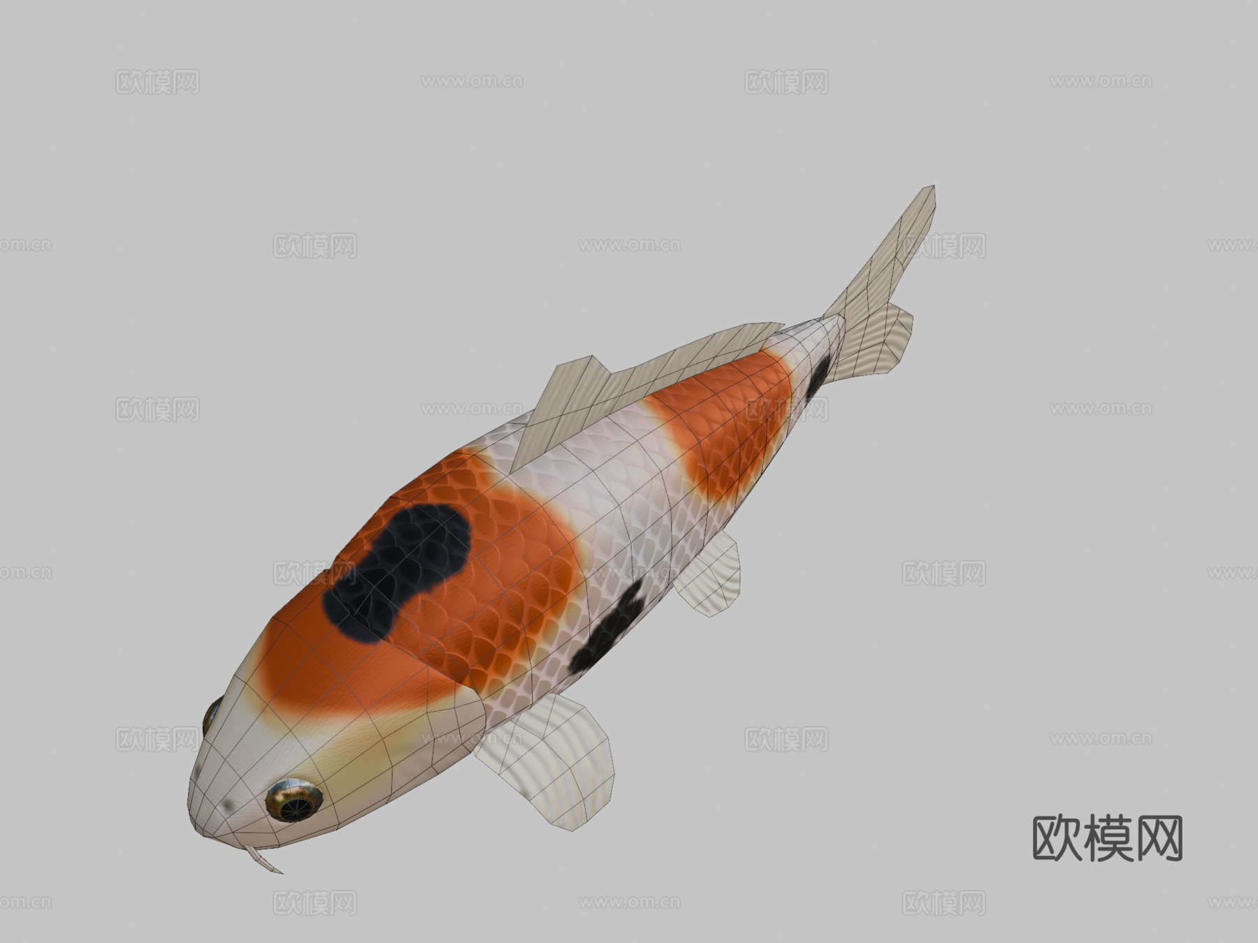 动画游动锦鲤(天空鲨鱼(犹他茶壶))3d模型
