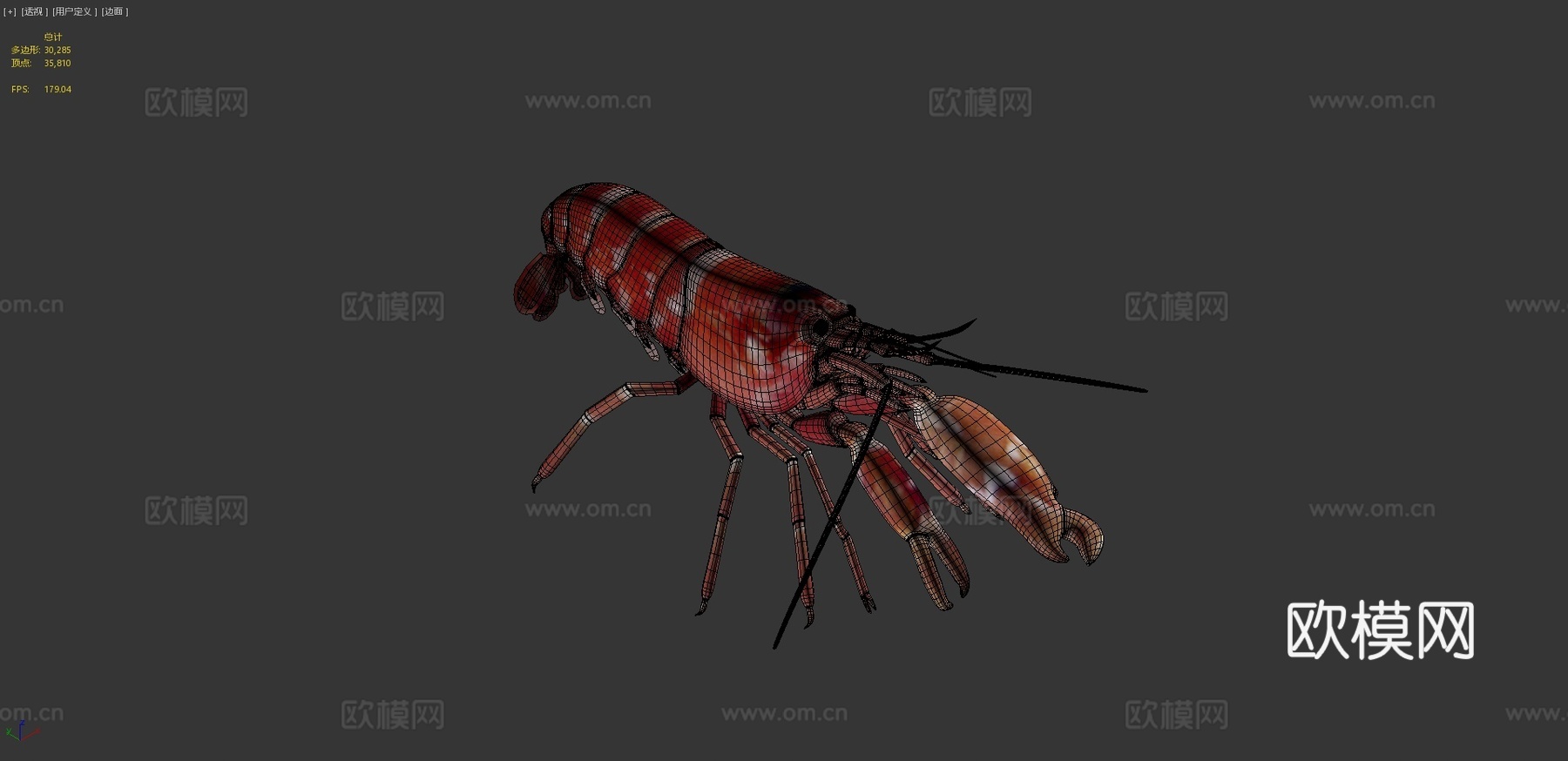 手枪虾3d模型