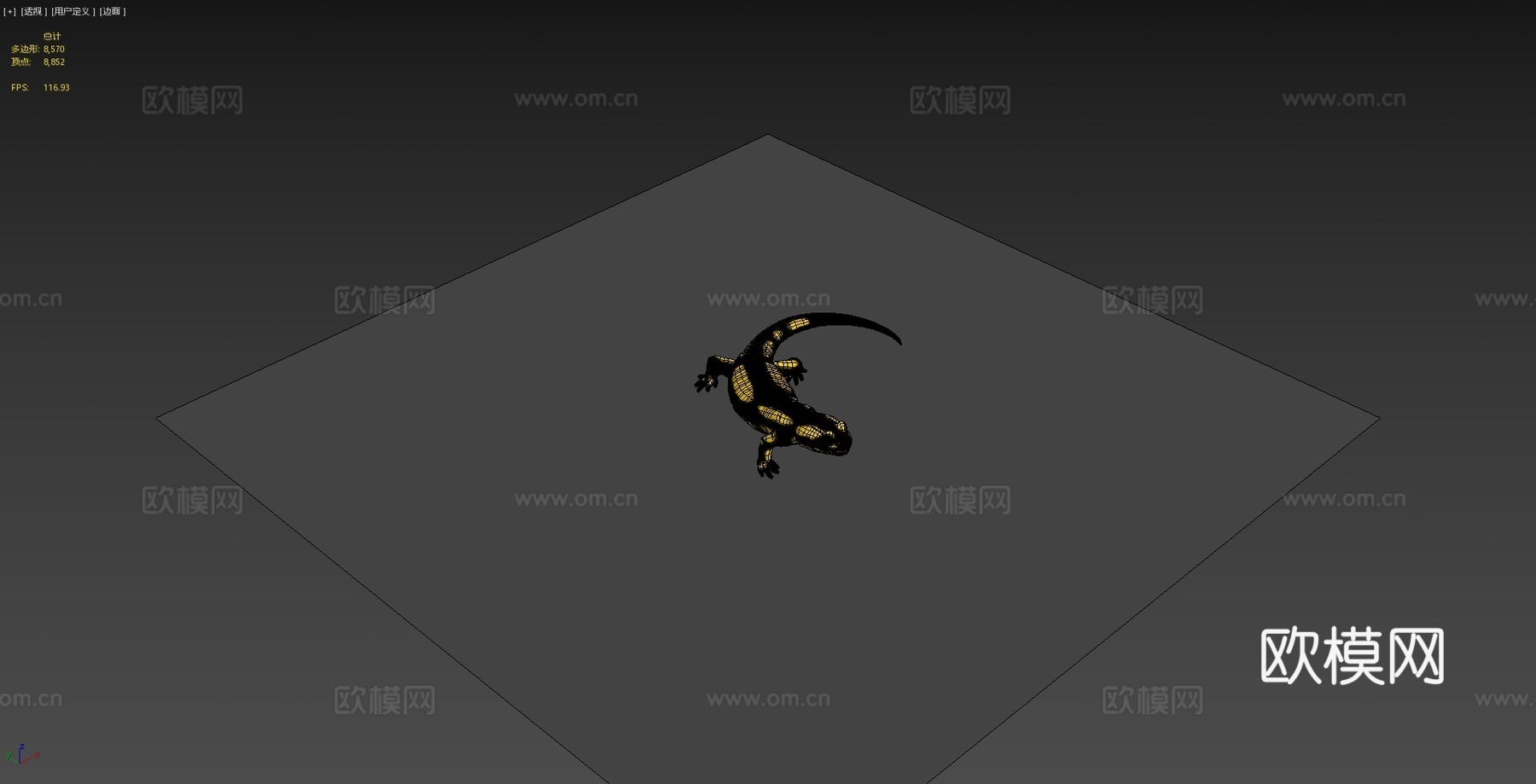 火蝾螈 - 萨拉曼德拉蝾螈3d模型