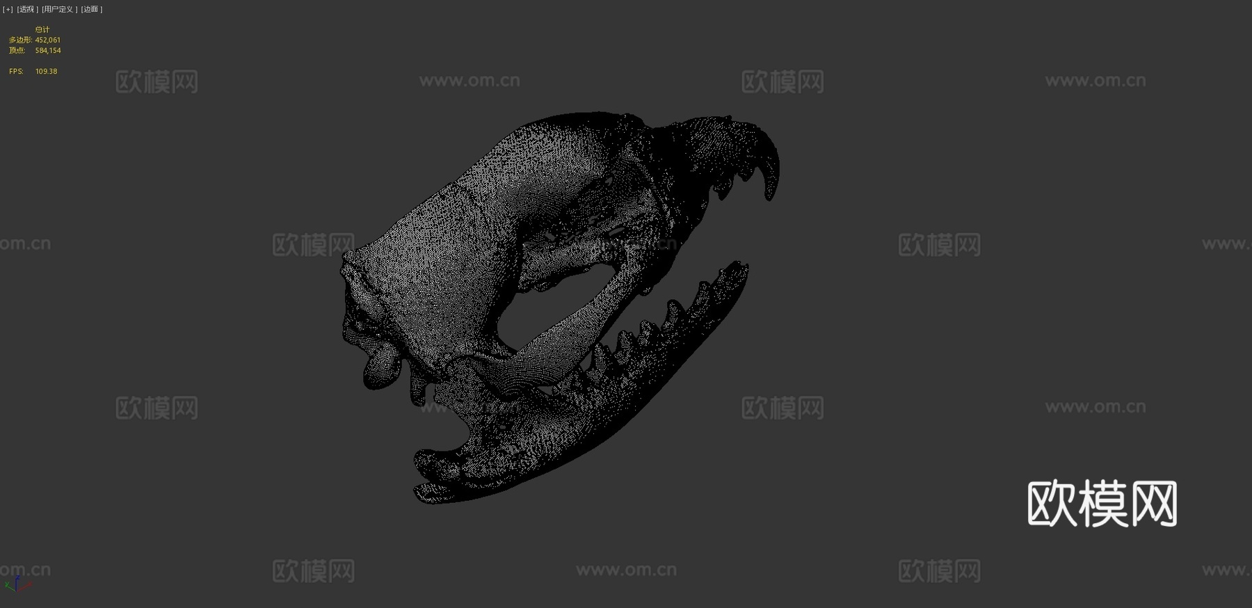 袋狼头骨3d模型