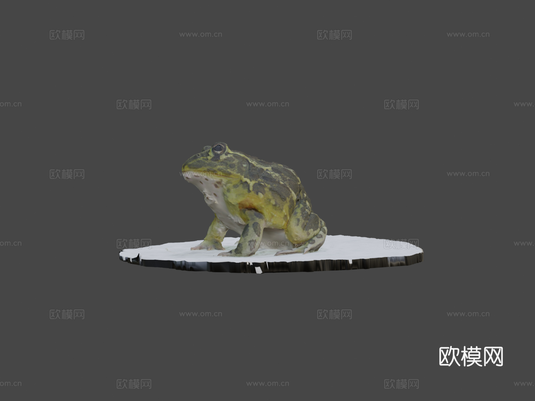 号模型-精灵蛙3d模型