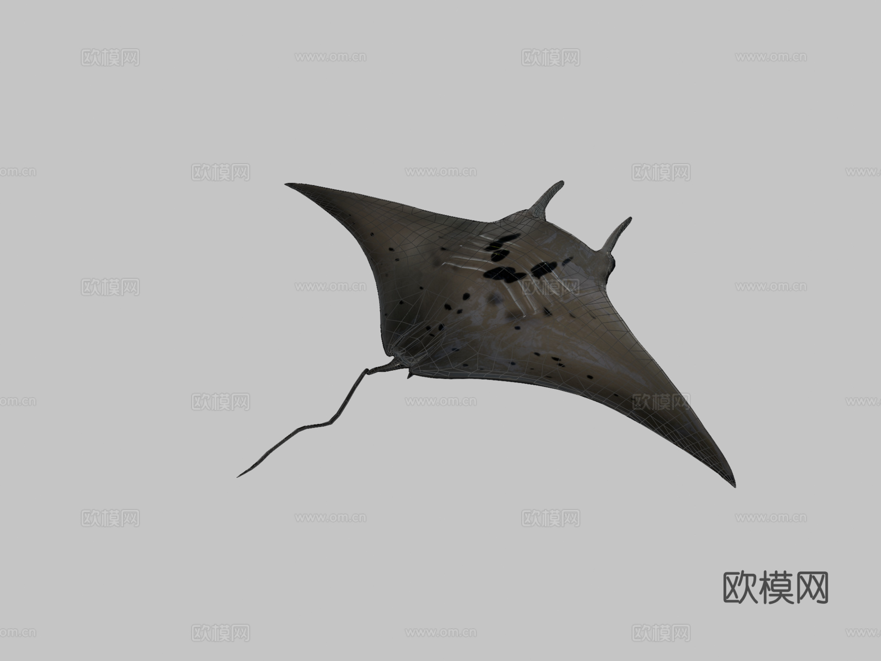 蝠鲼3d模型
