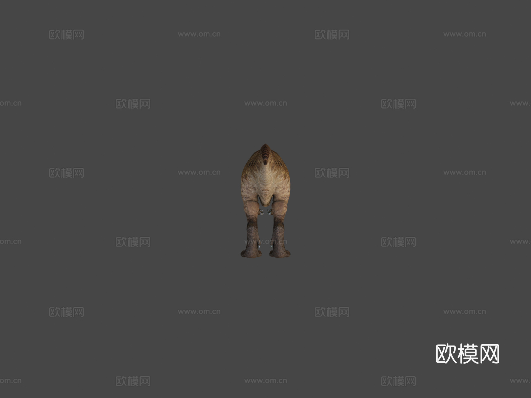 南方巨兽龙3d模型