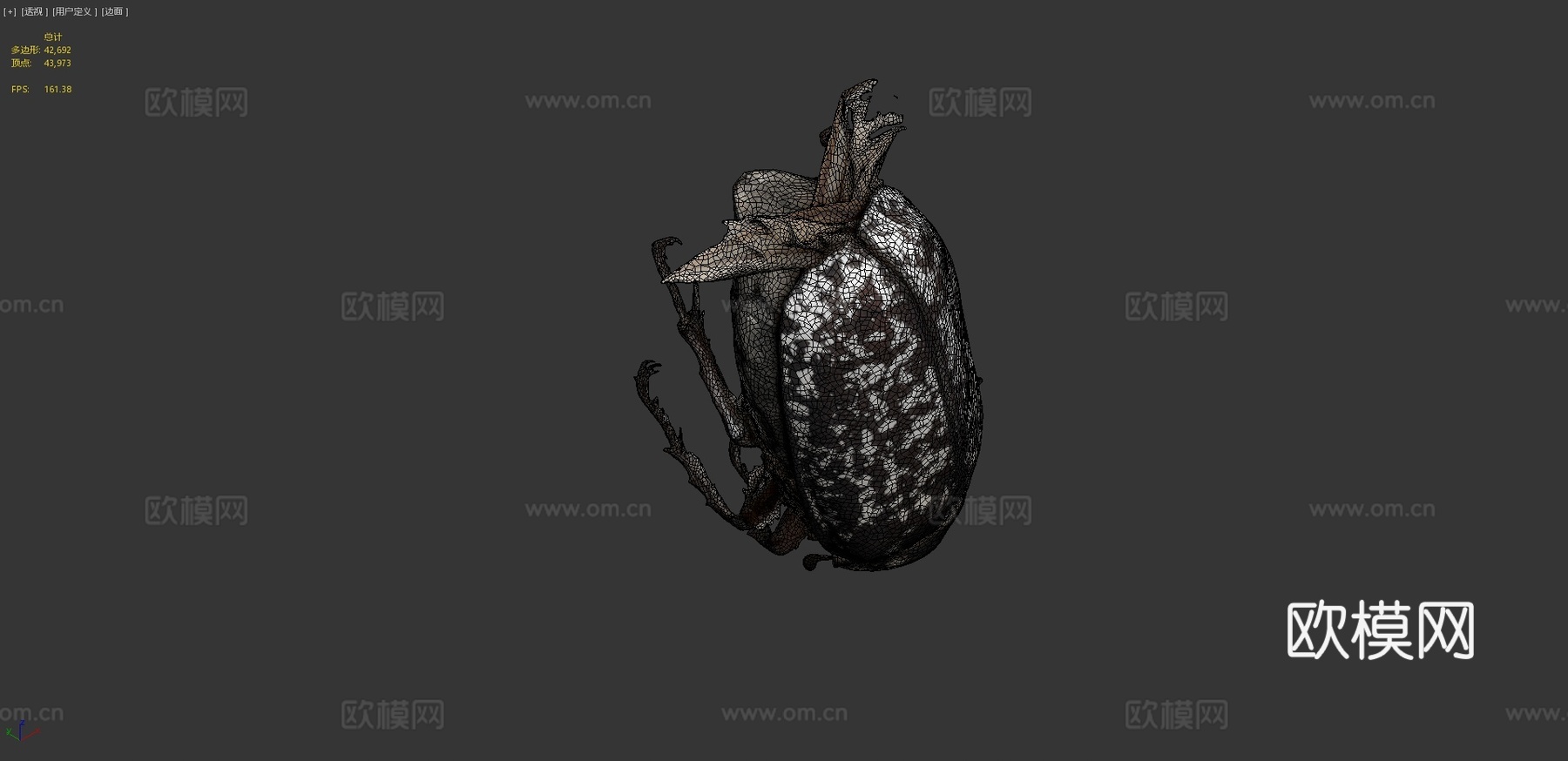 多叶甲虫(自然历史数字档案(DiNArDa))3d模型