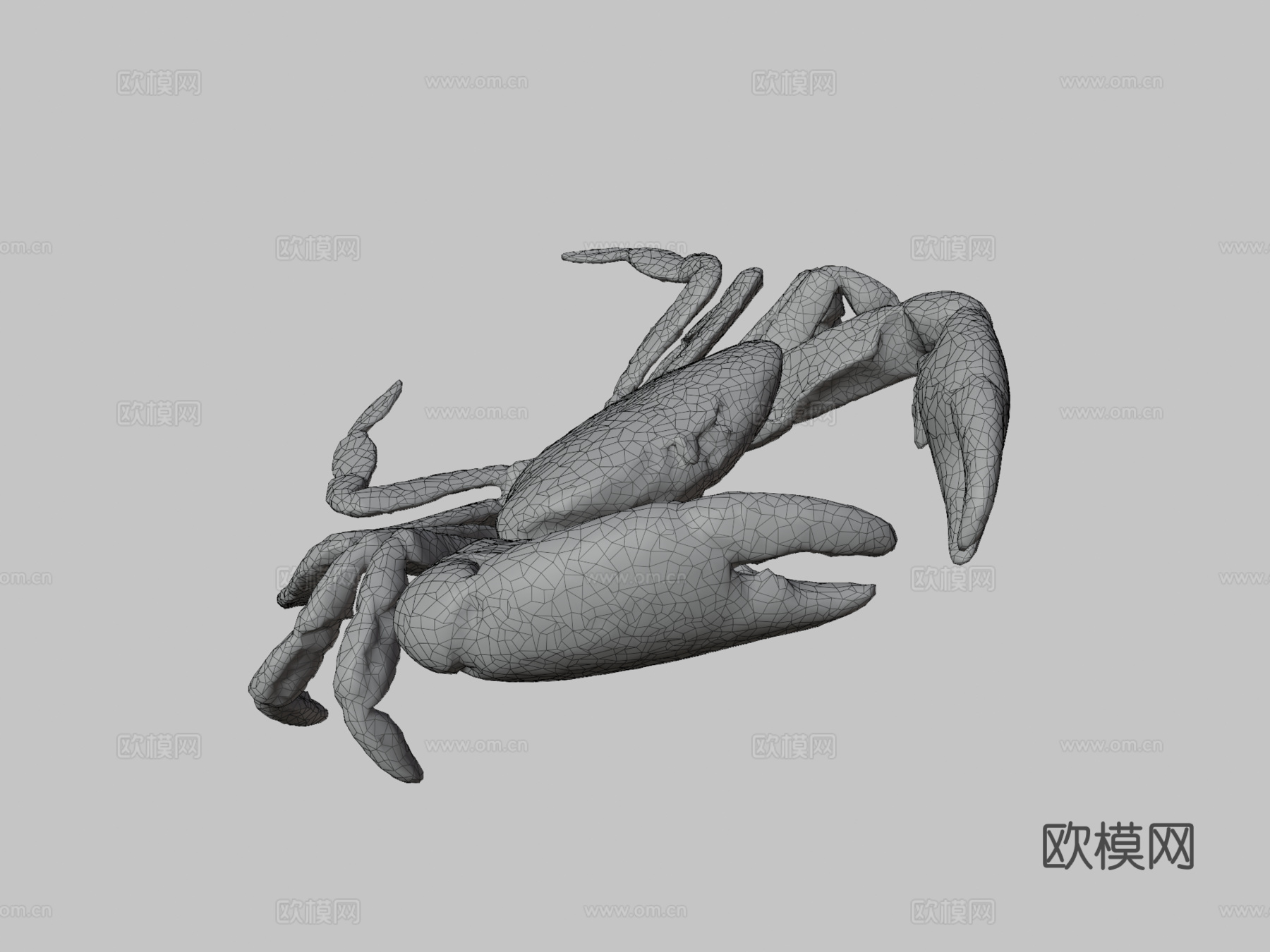 雄性快速蟹-快速压缩3d模型
