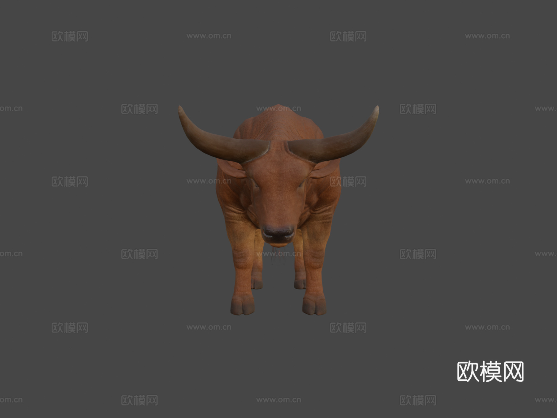 公牛动物3d模型