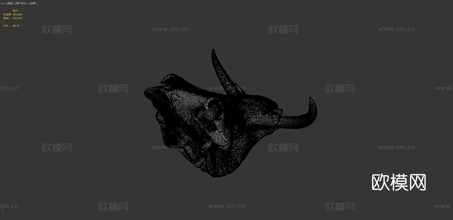 疣猪头骨3d模型