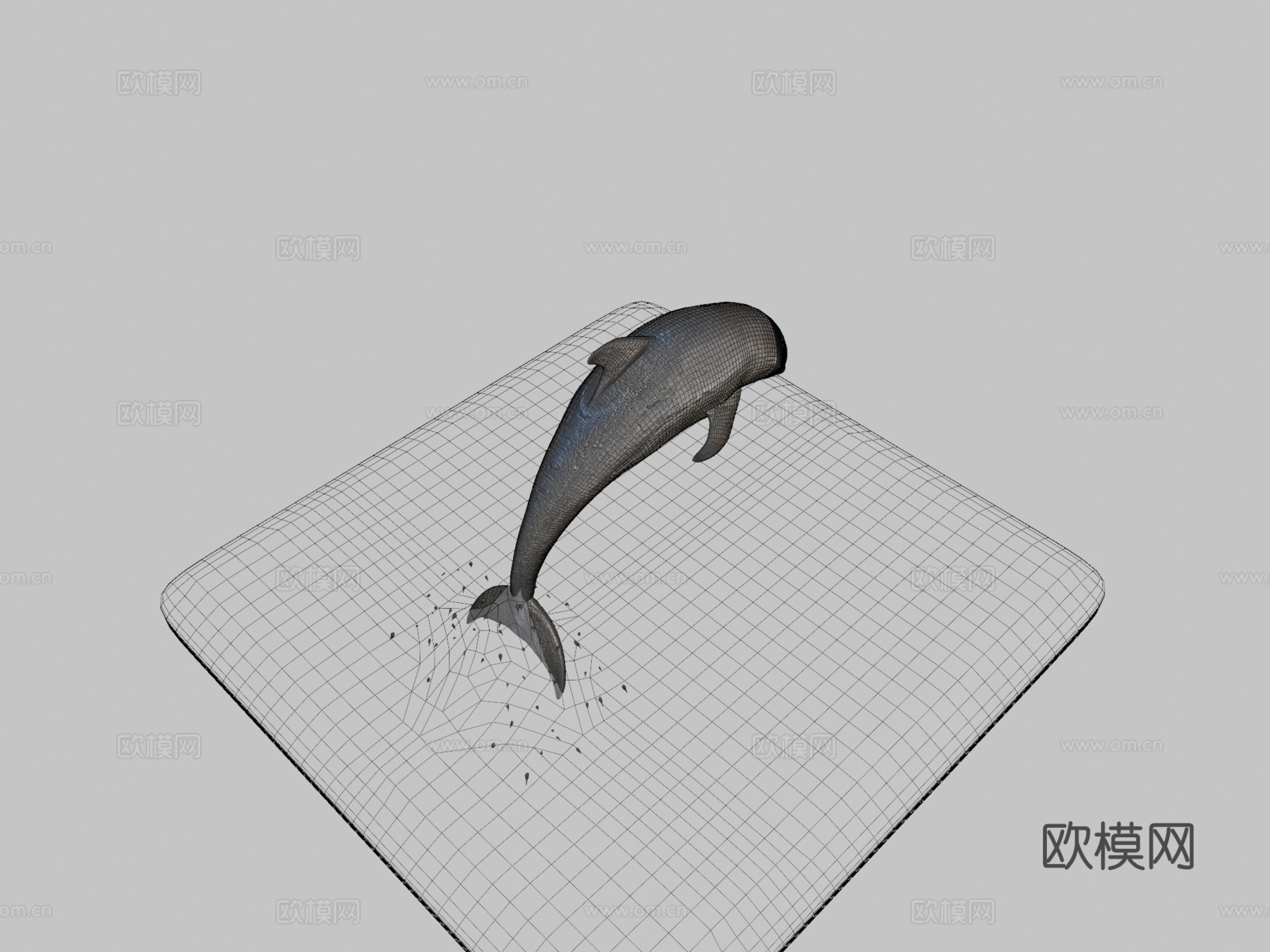 海豚3d模型