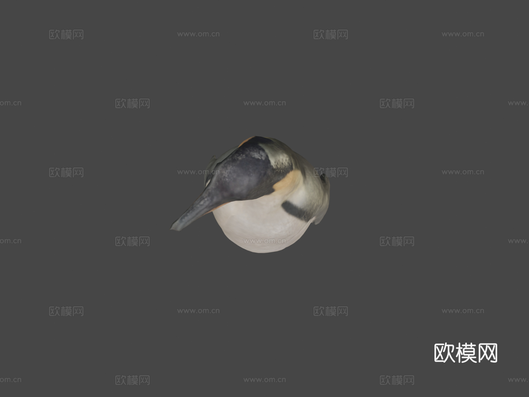 帝企鹅3d模型