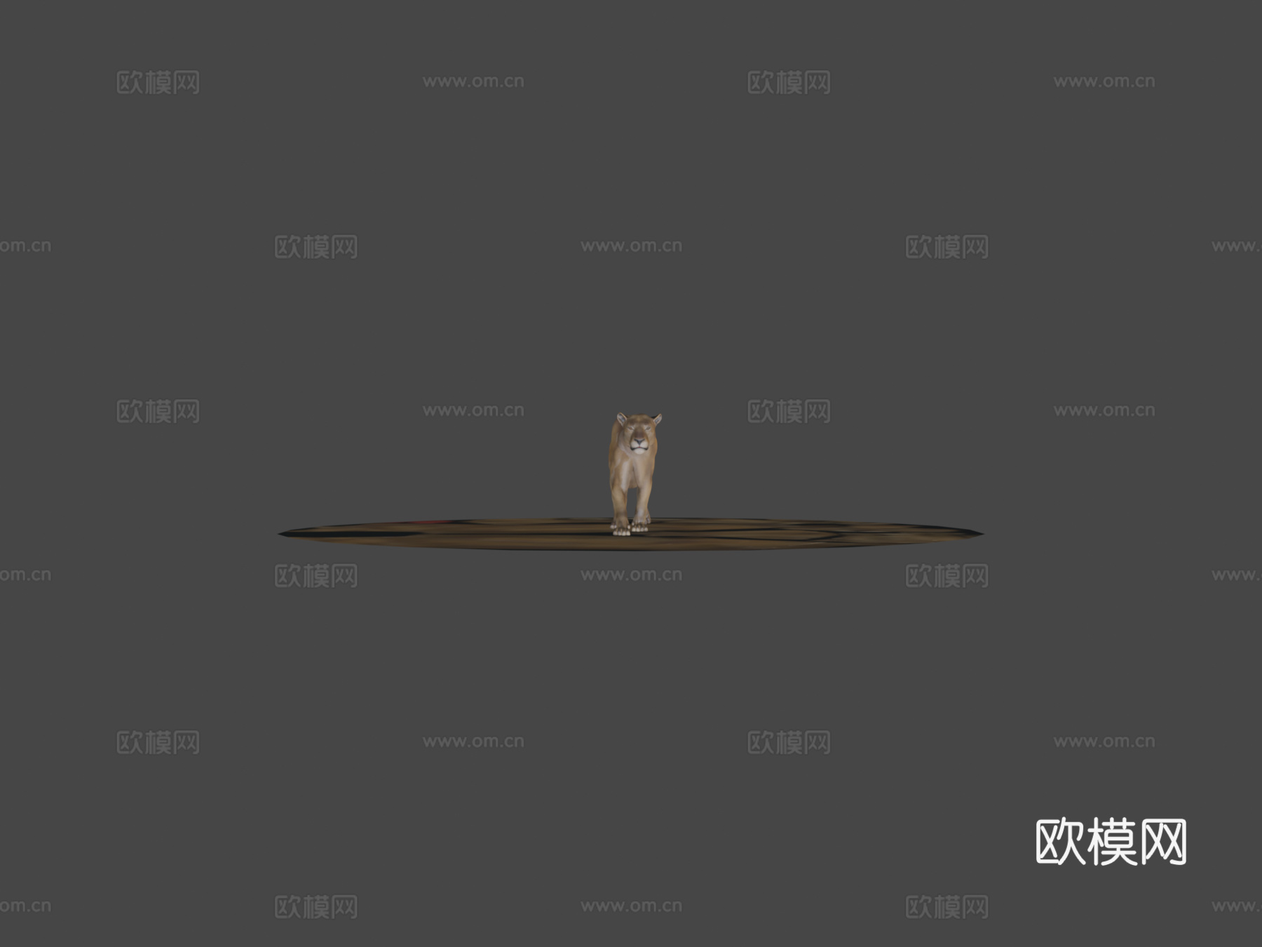 狮子行走3d模型