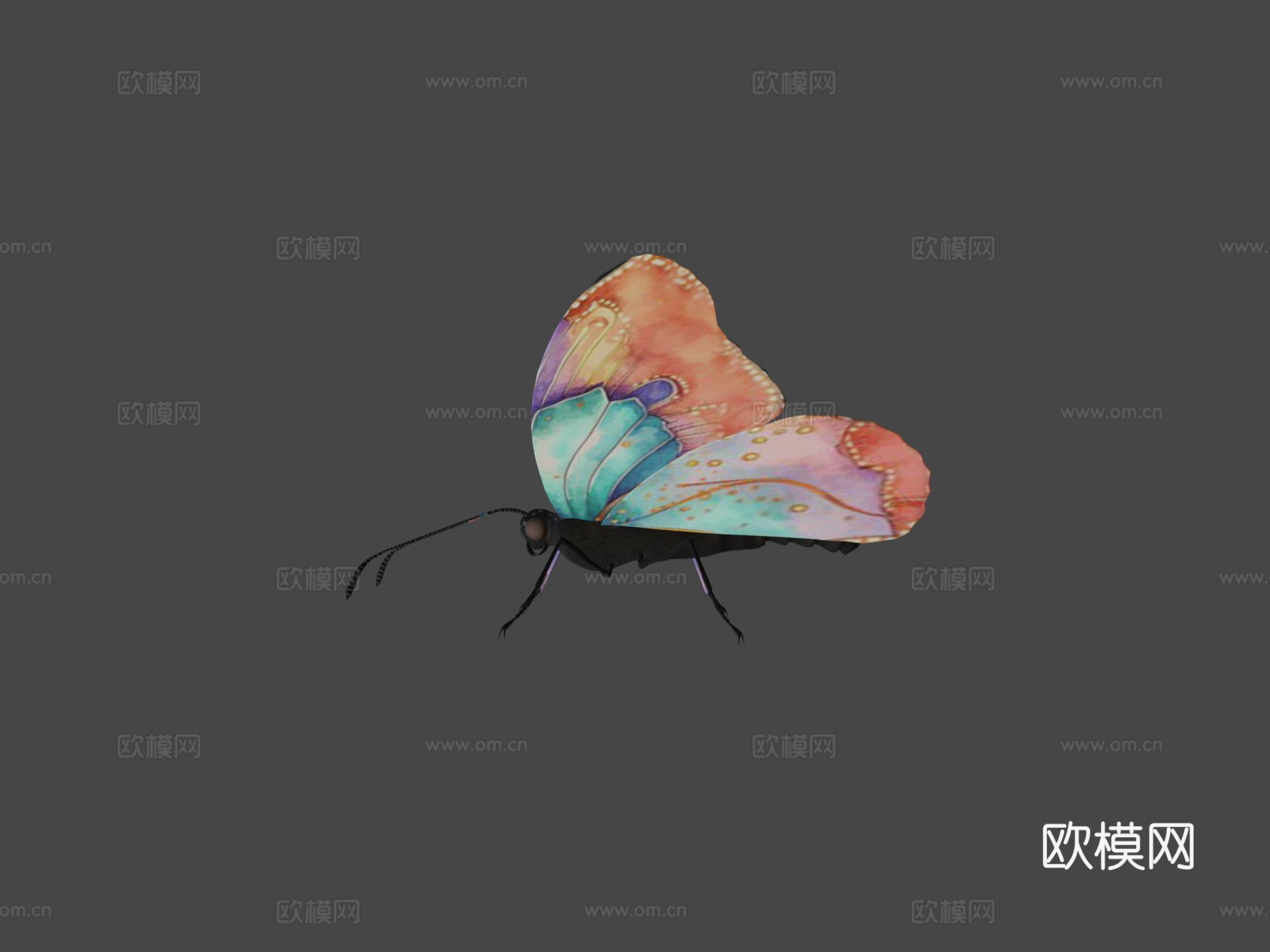动画飞行扑翼蝴蝶循环3d模型