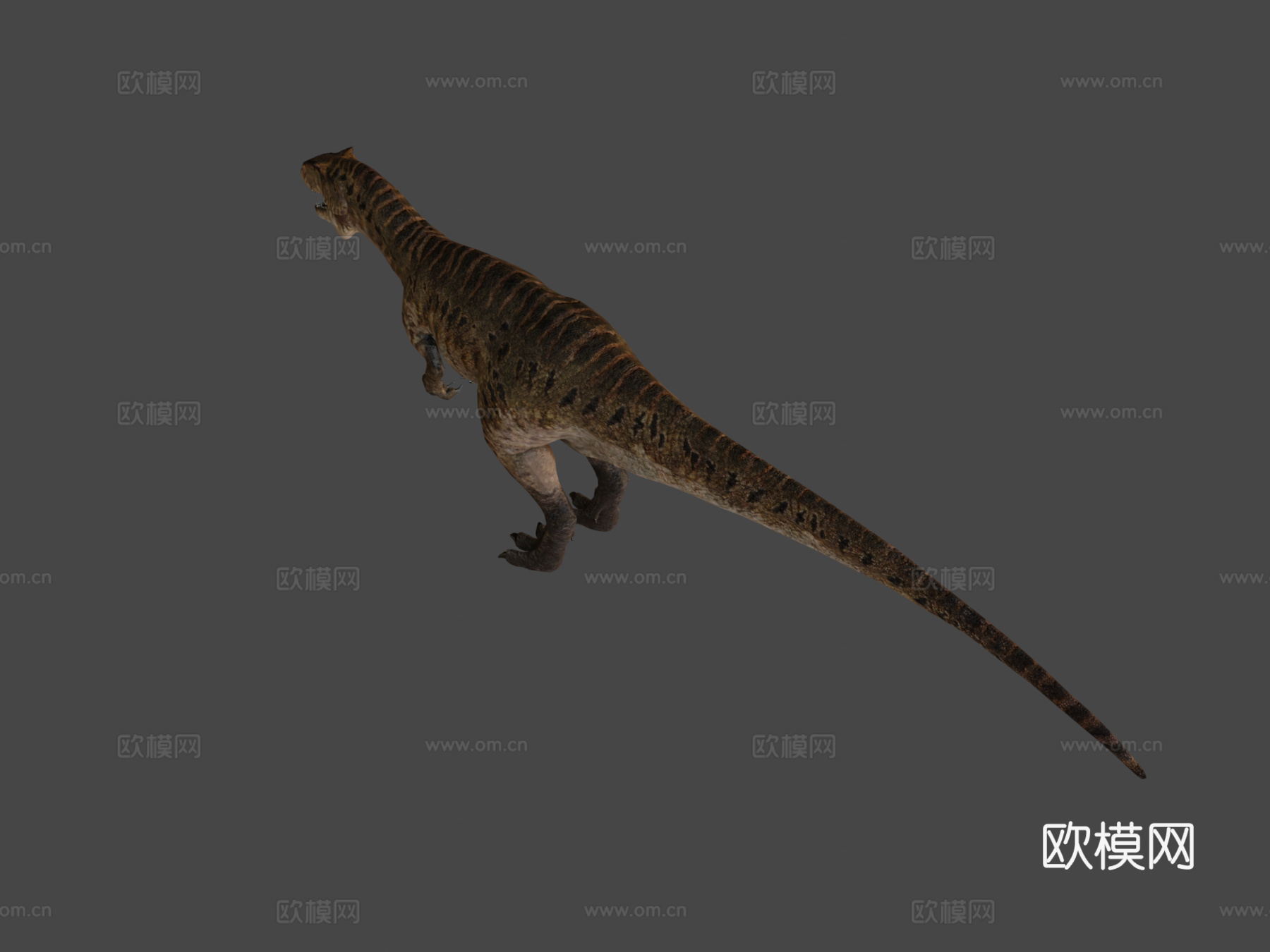 南方巨兽龙3d模型