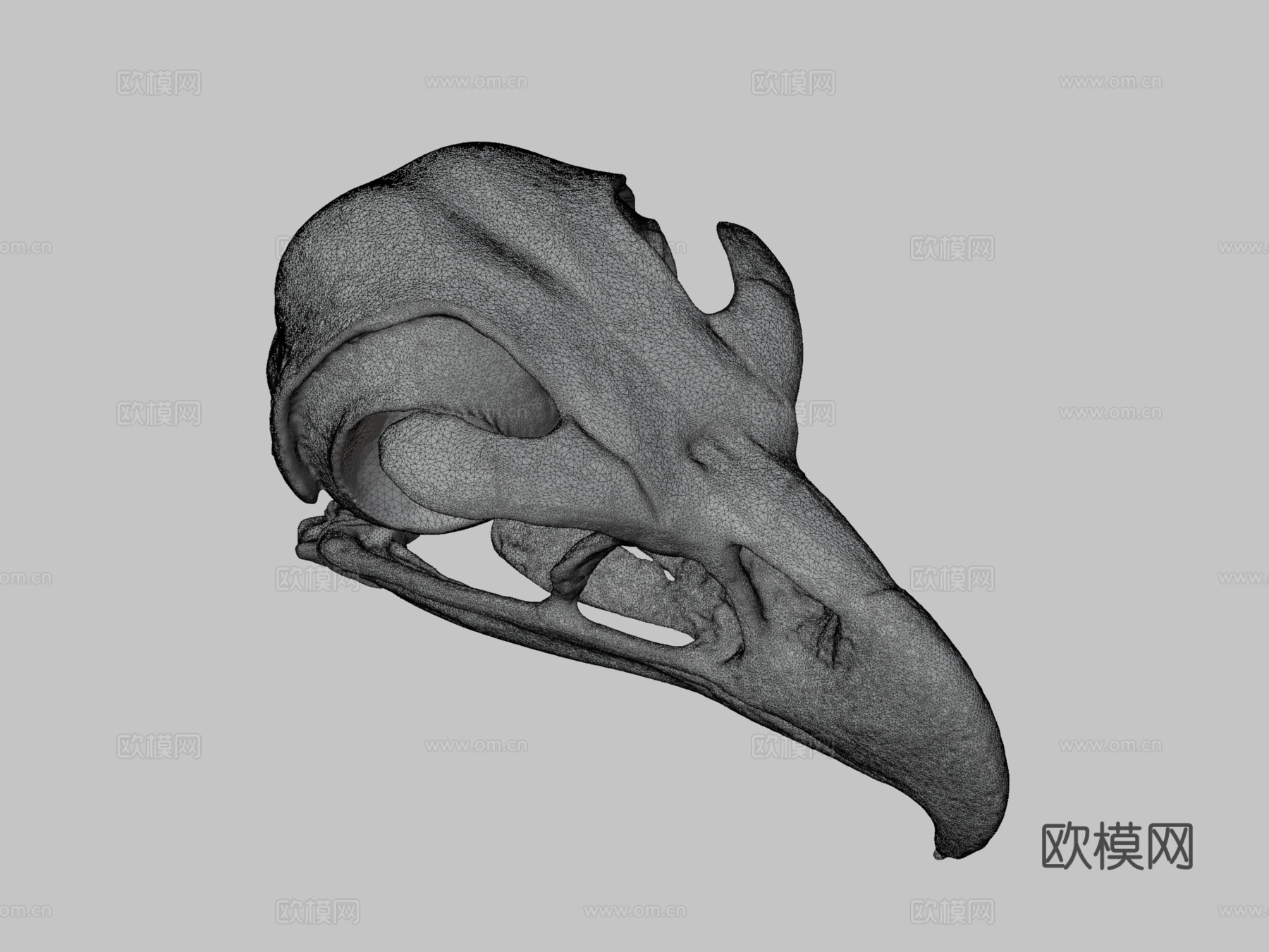 金雕头骨3d模型
