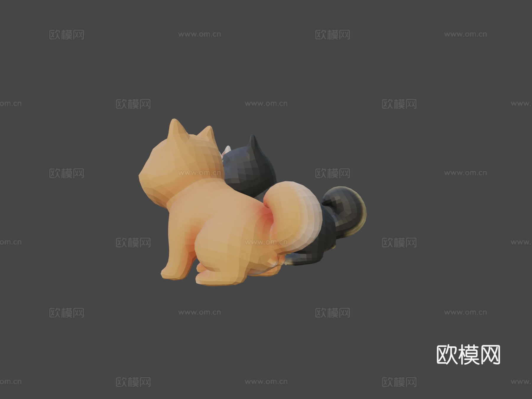 柴犬3d模型