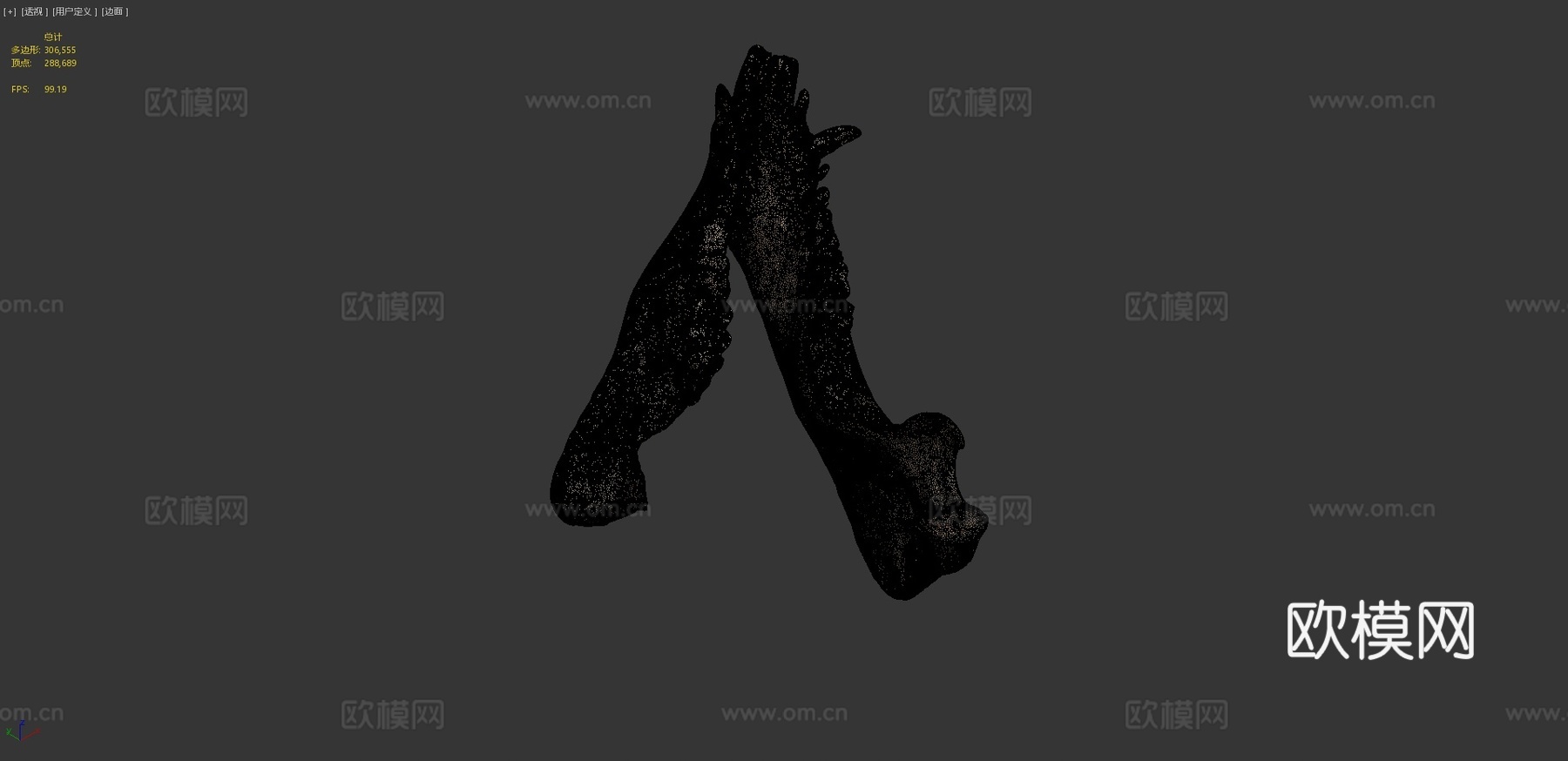 颌骨扫描-新英格兰大学3d模型
