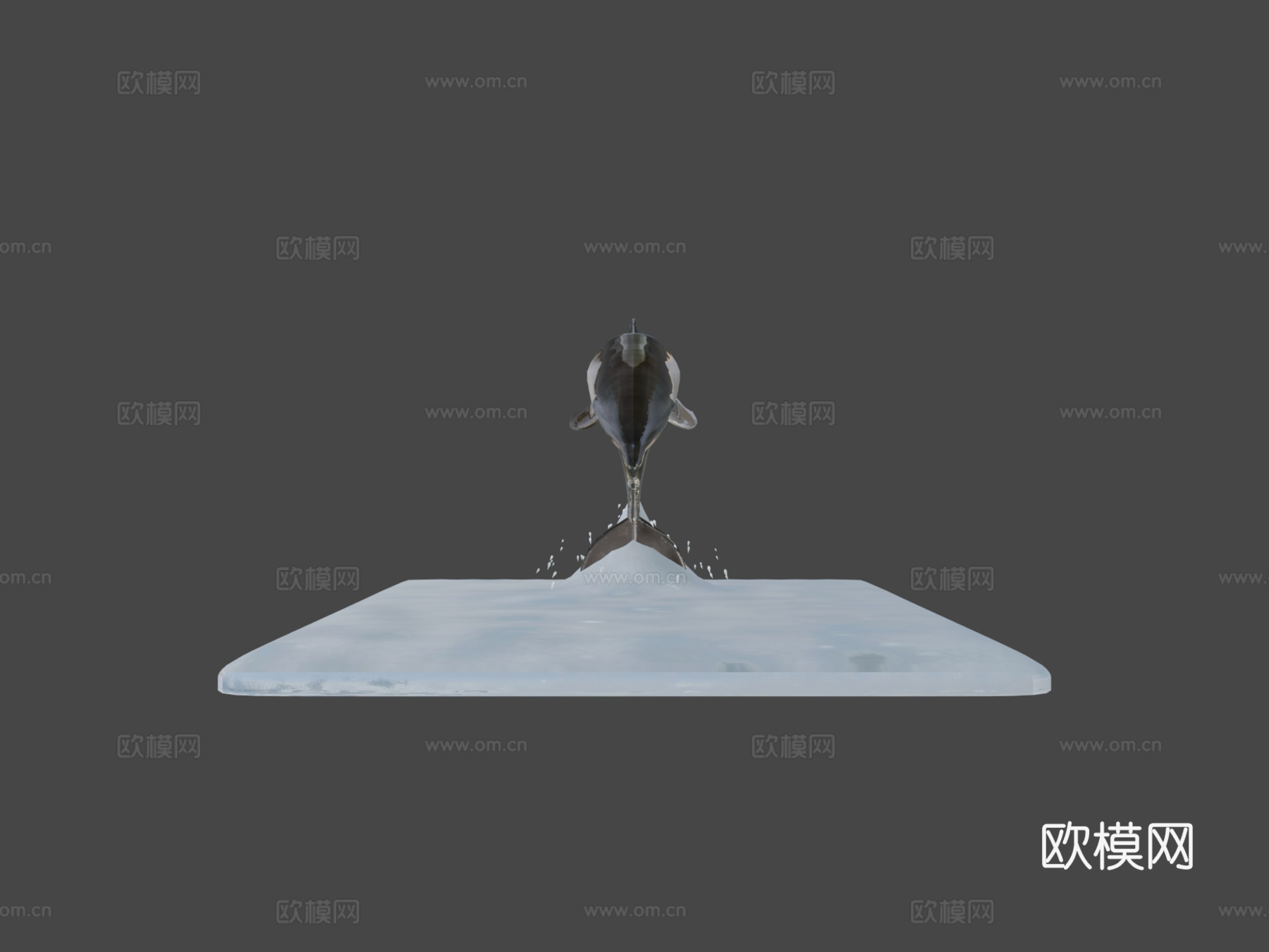 海豚3d模型