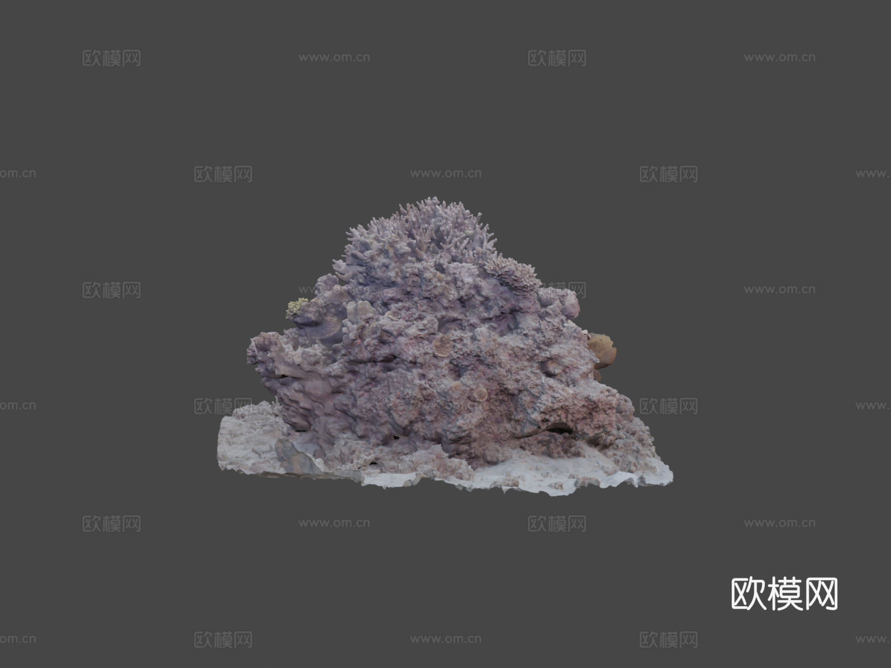冲绳珊瑚-Agisoft自然挑战3d模型