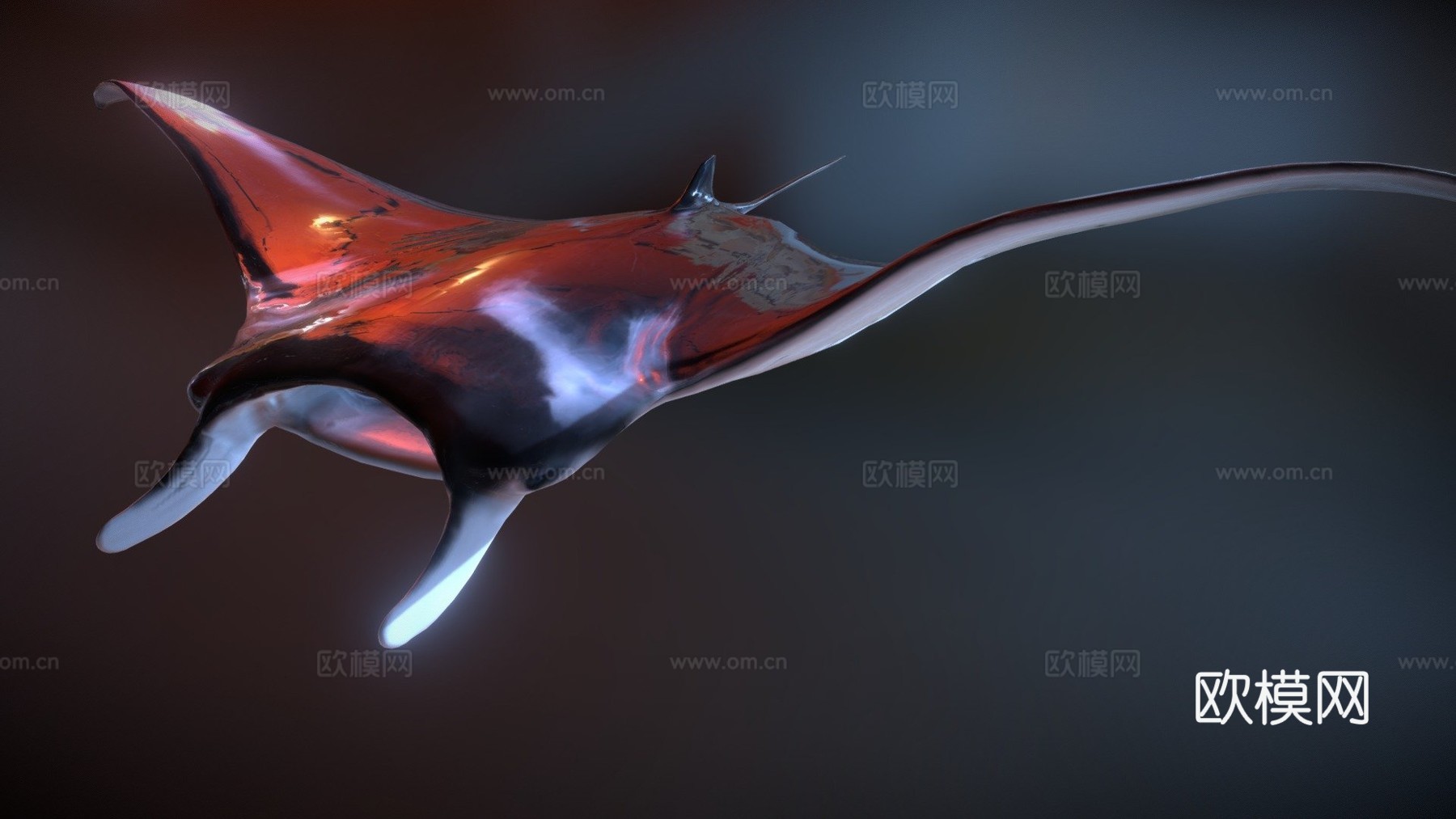 蝠鲼3d模型