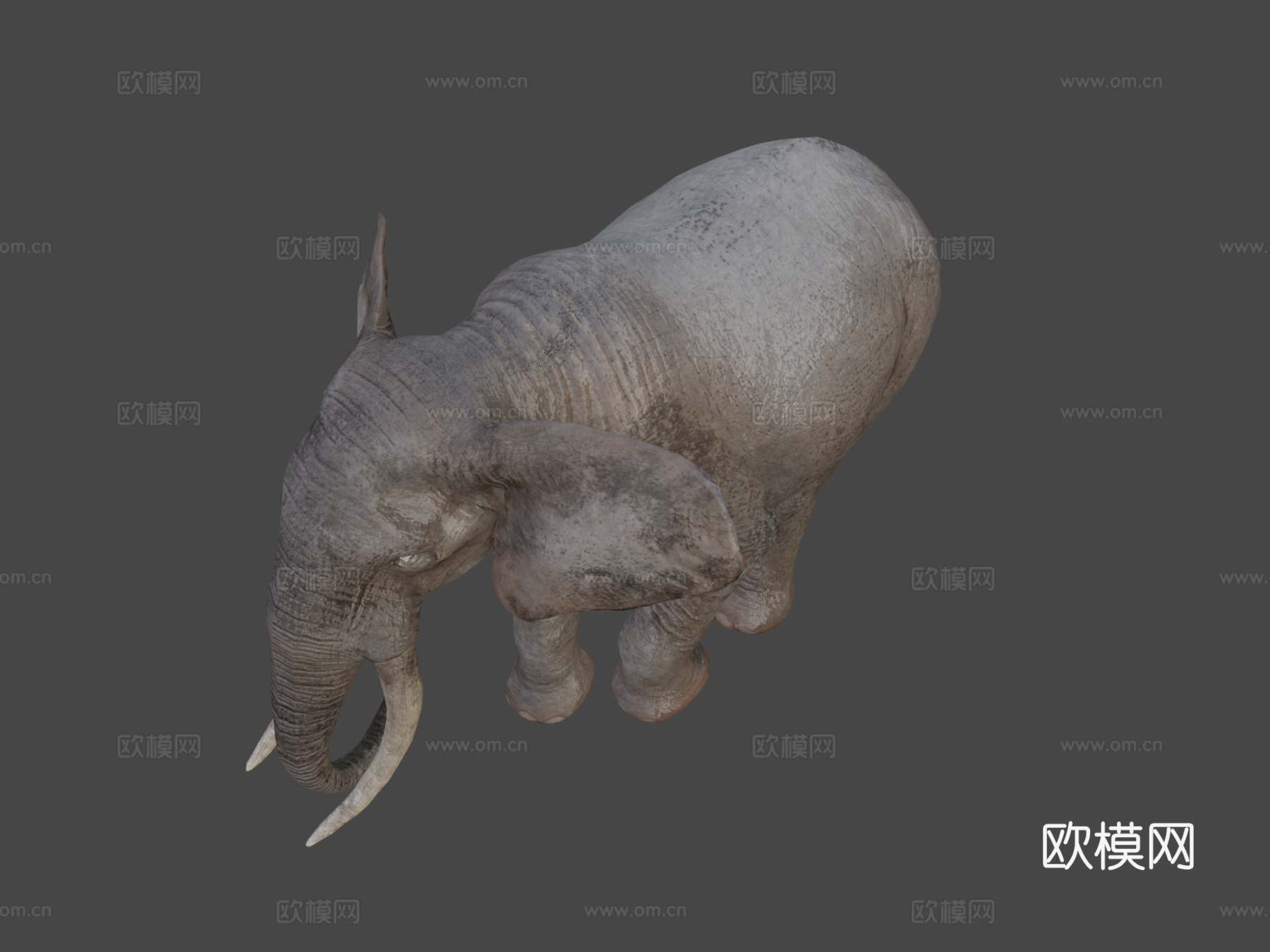象宝宝到成年3d模型