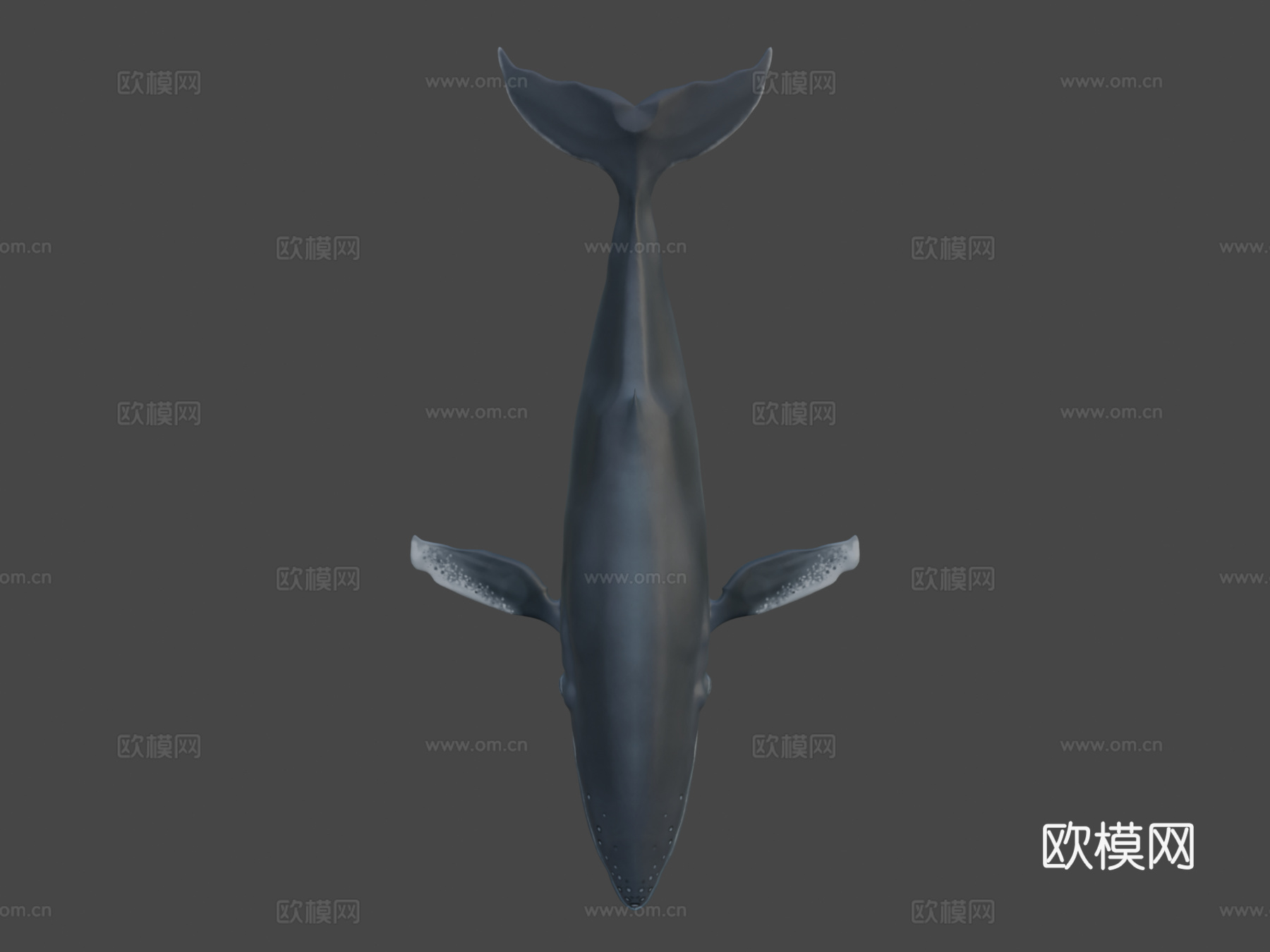 雕刻鲸鱼3d模型
