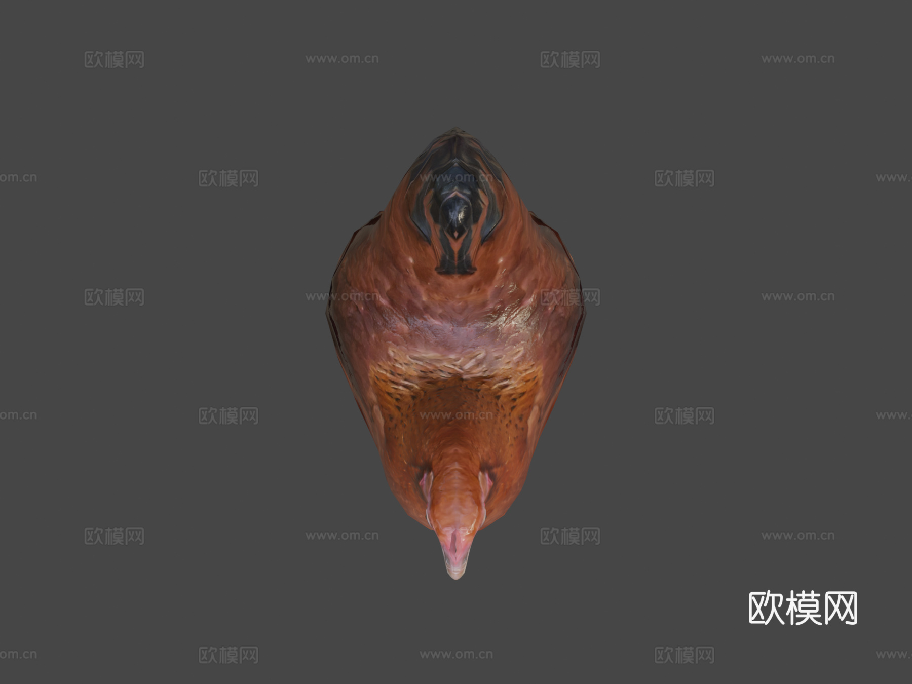 鸡3d模型