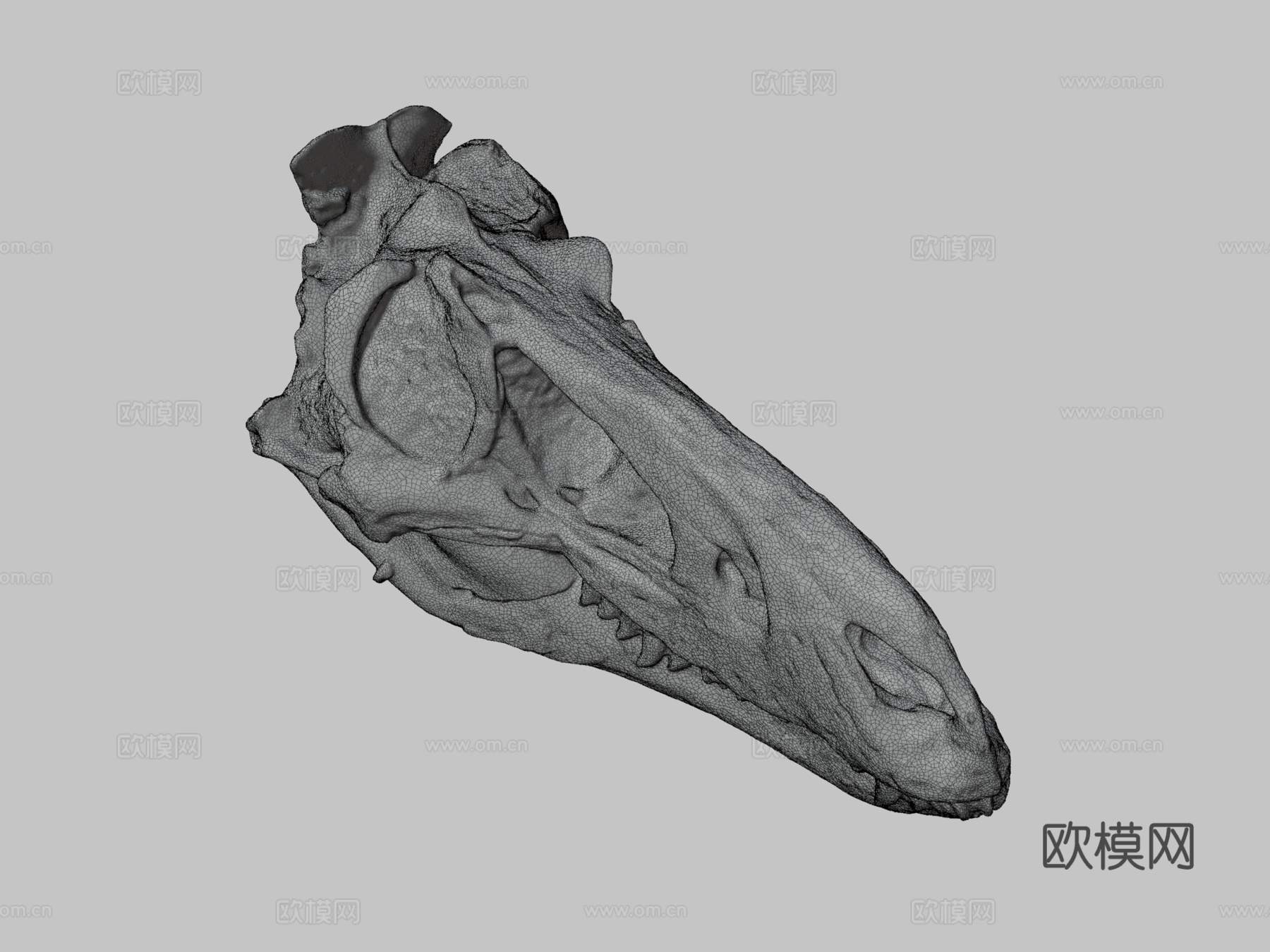 矮暴龙3d模型