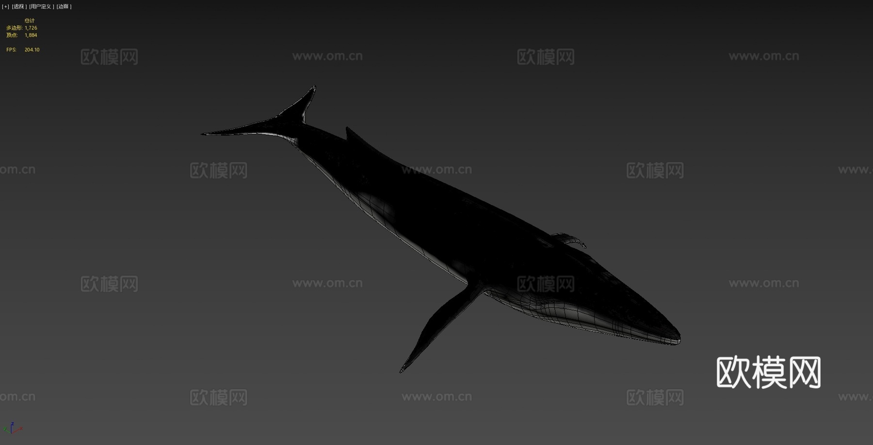 长须鲸3d模型