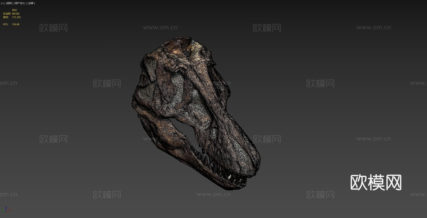霸王龙头骨3d模型