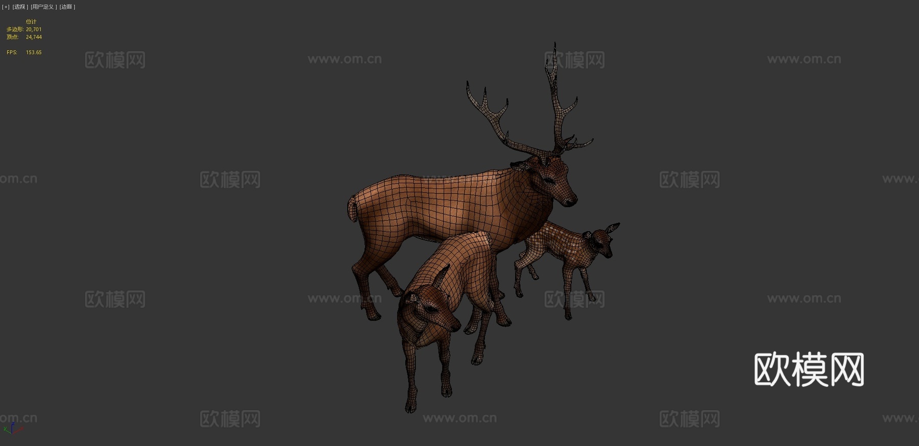 马鹿家族3d模型